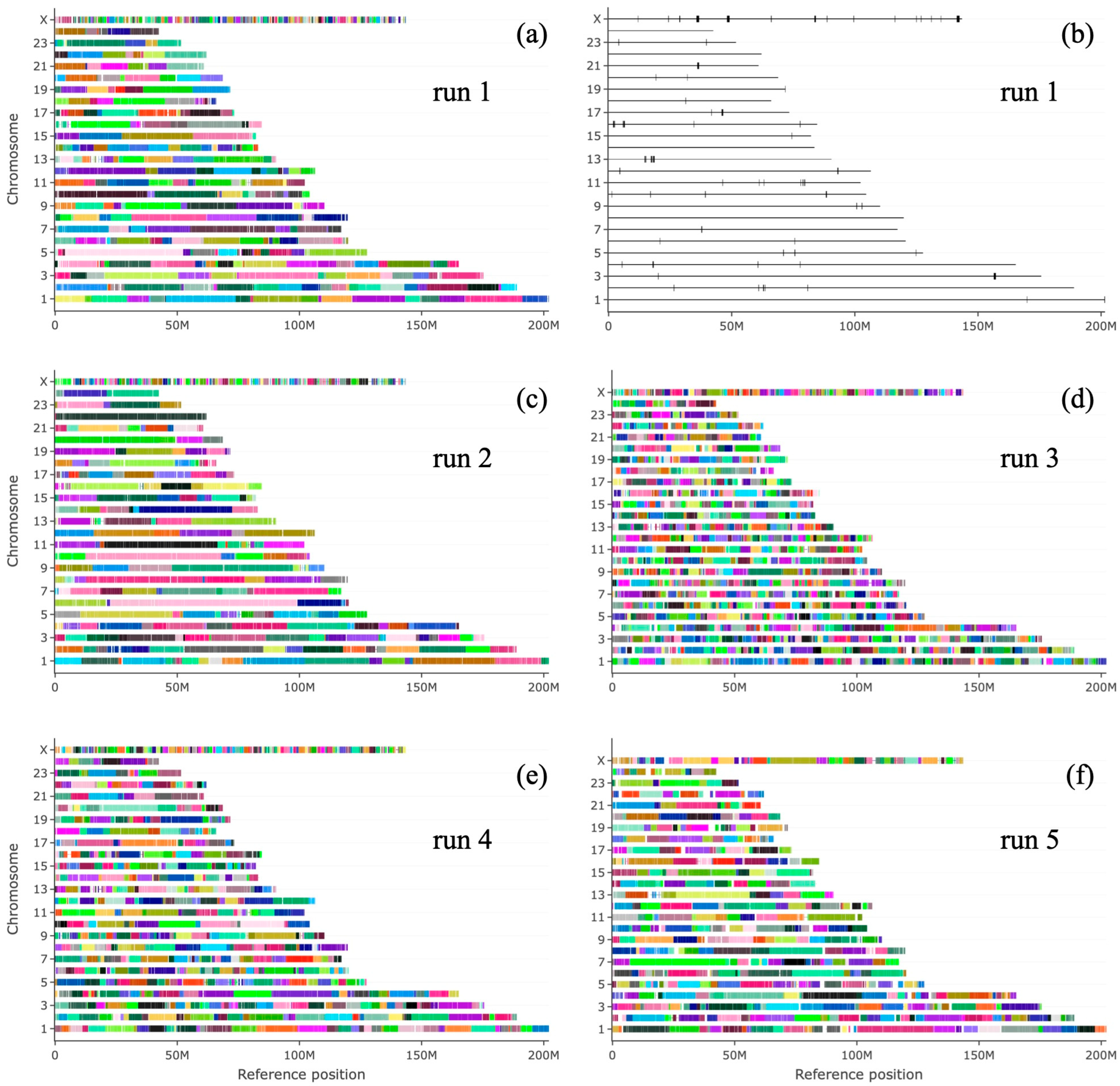Animals 15 03014 g001 Animals 15 03014 g001