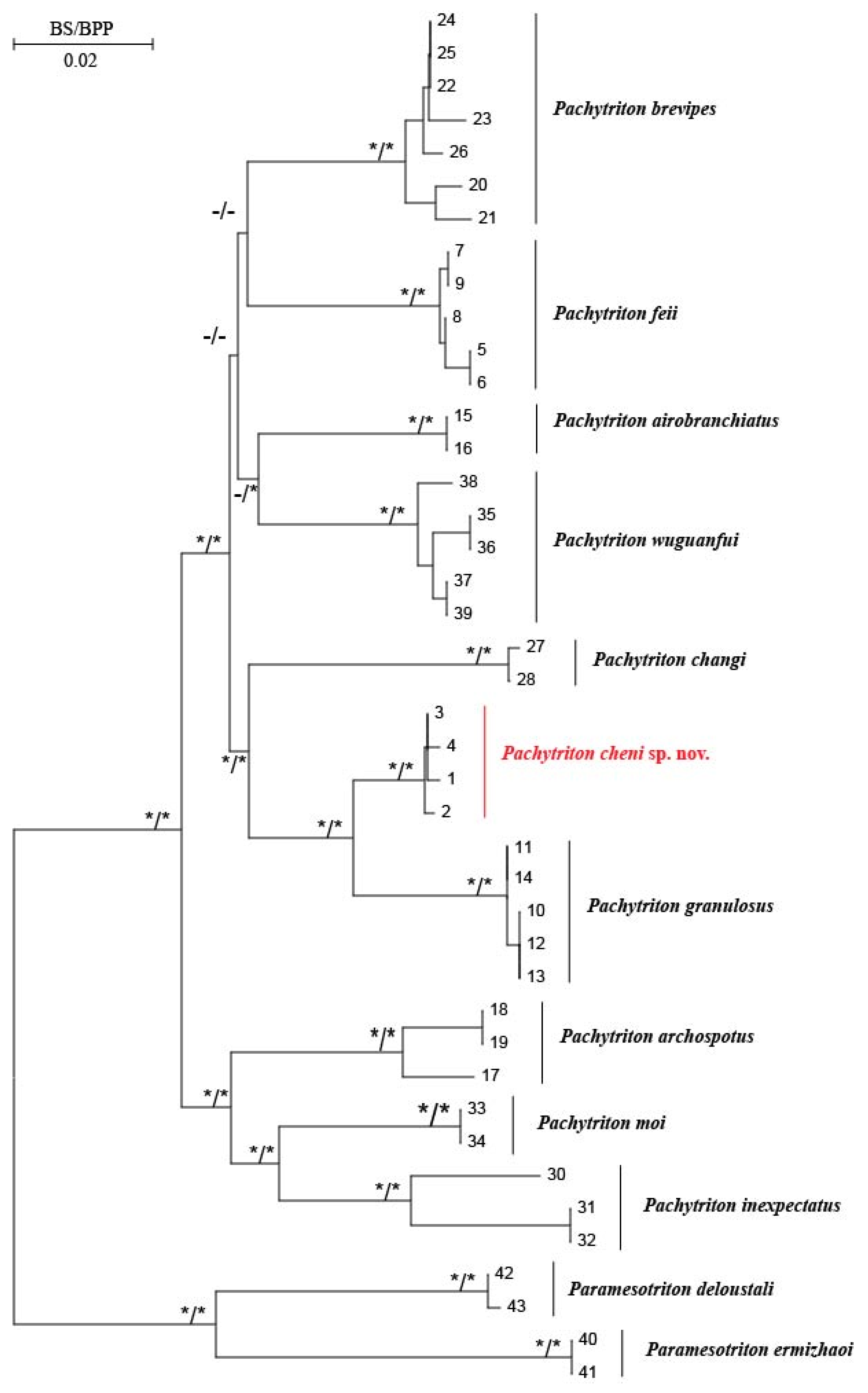 Animals 15 03018 g002 Animals 15 03018 g002