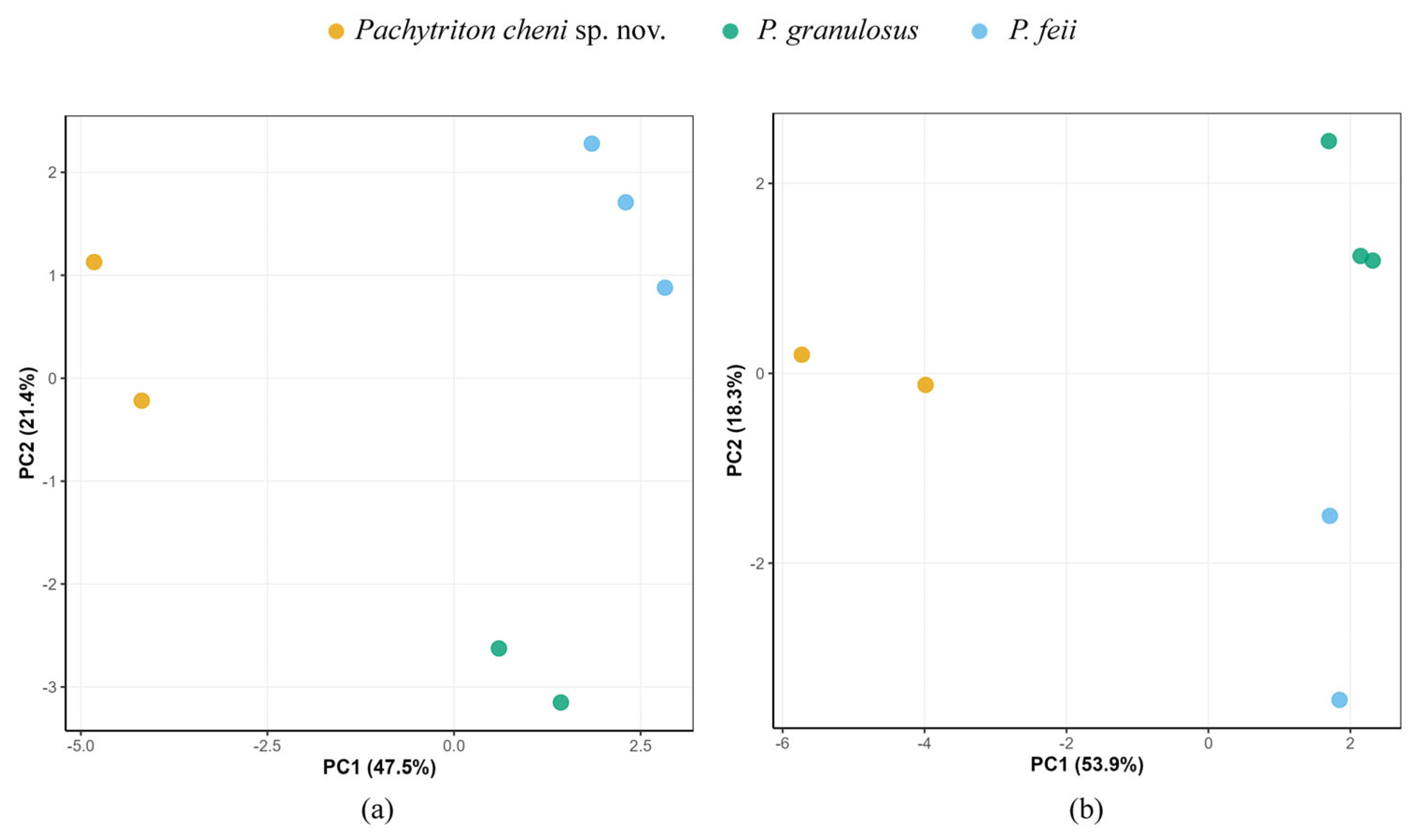 Animals 15 03018 g004 Animals 15 03018 g004