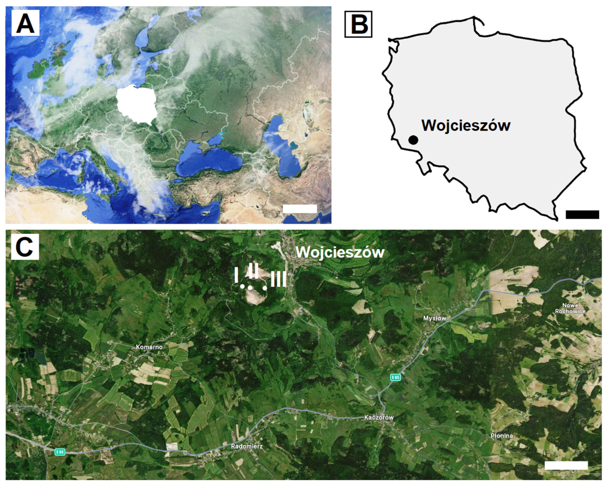 Animals 15 03020 g001 Animals 15 03020 g001