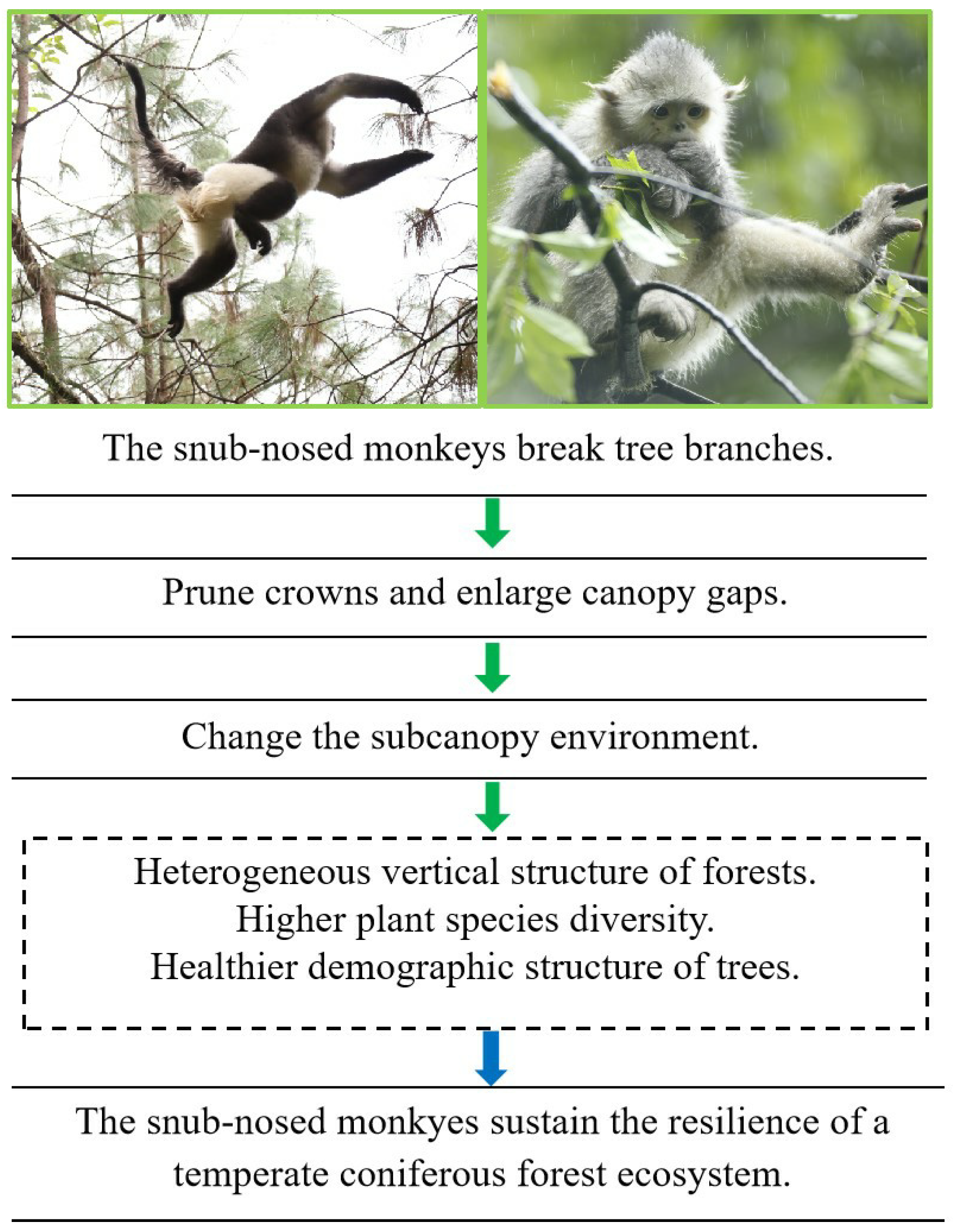 Animals 15 03021 g001