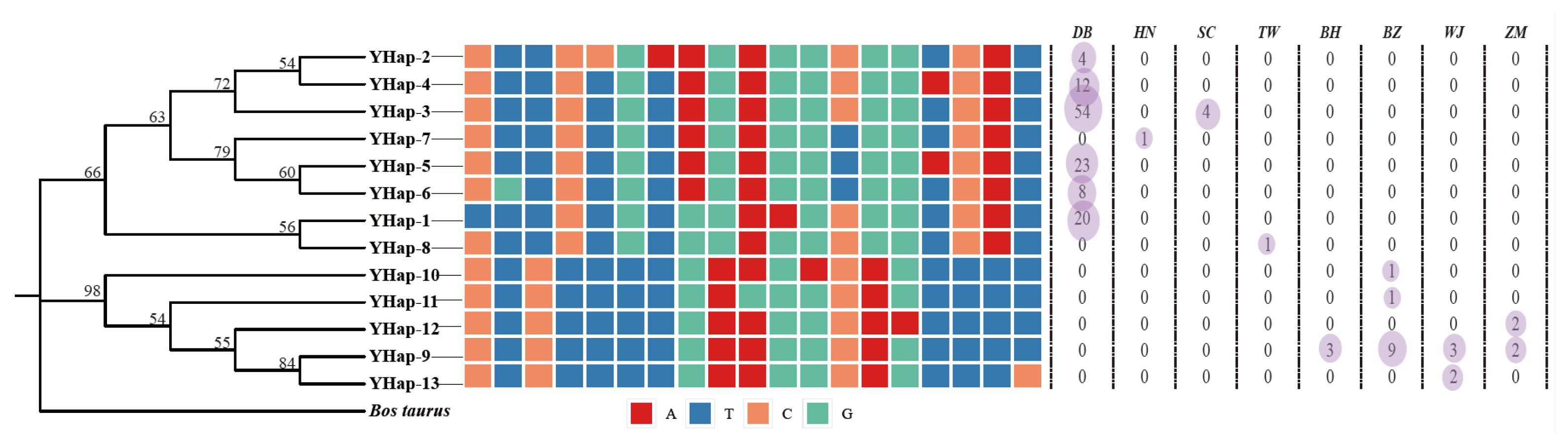 Animals 15 03022 g004