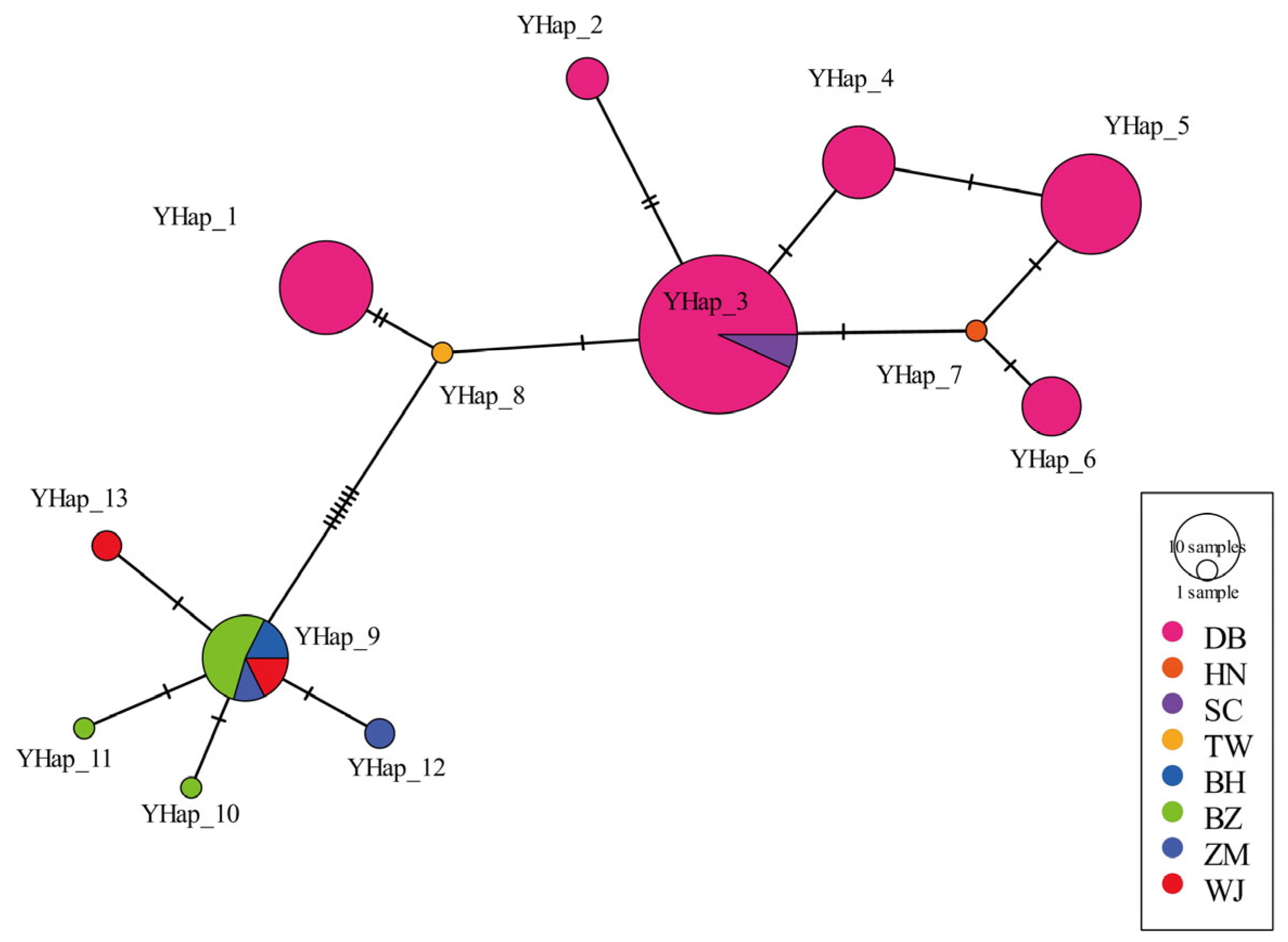 Animals 15 03022 g005