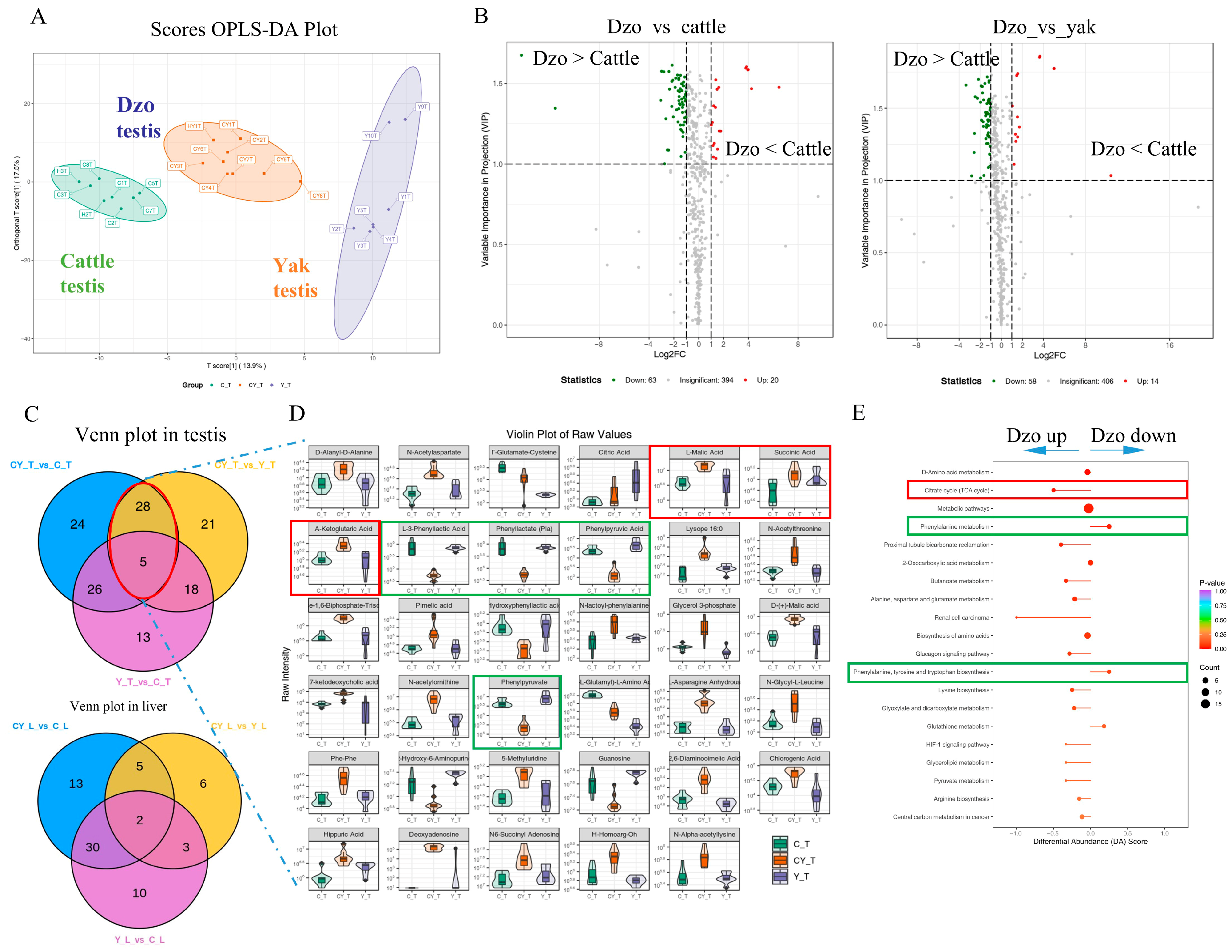Animals 15 03023 g002