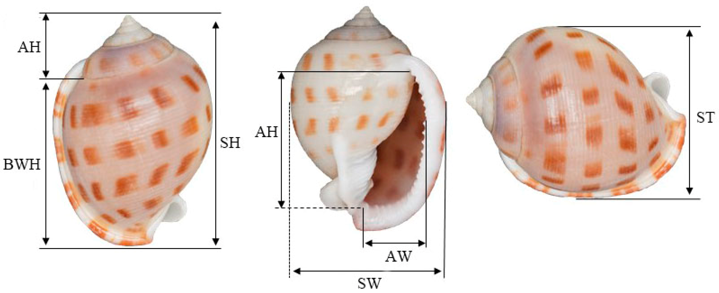 Animals 15 03027 g002