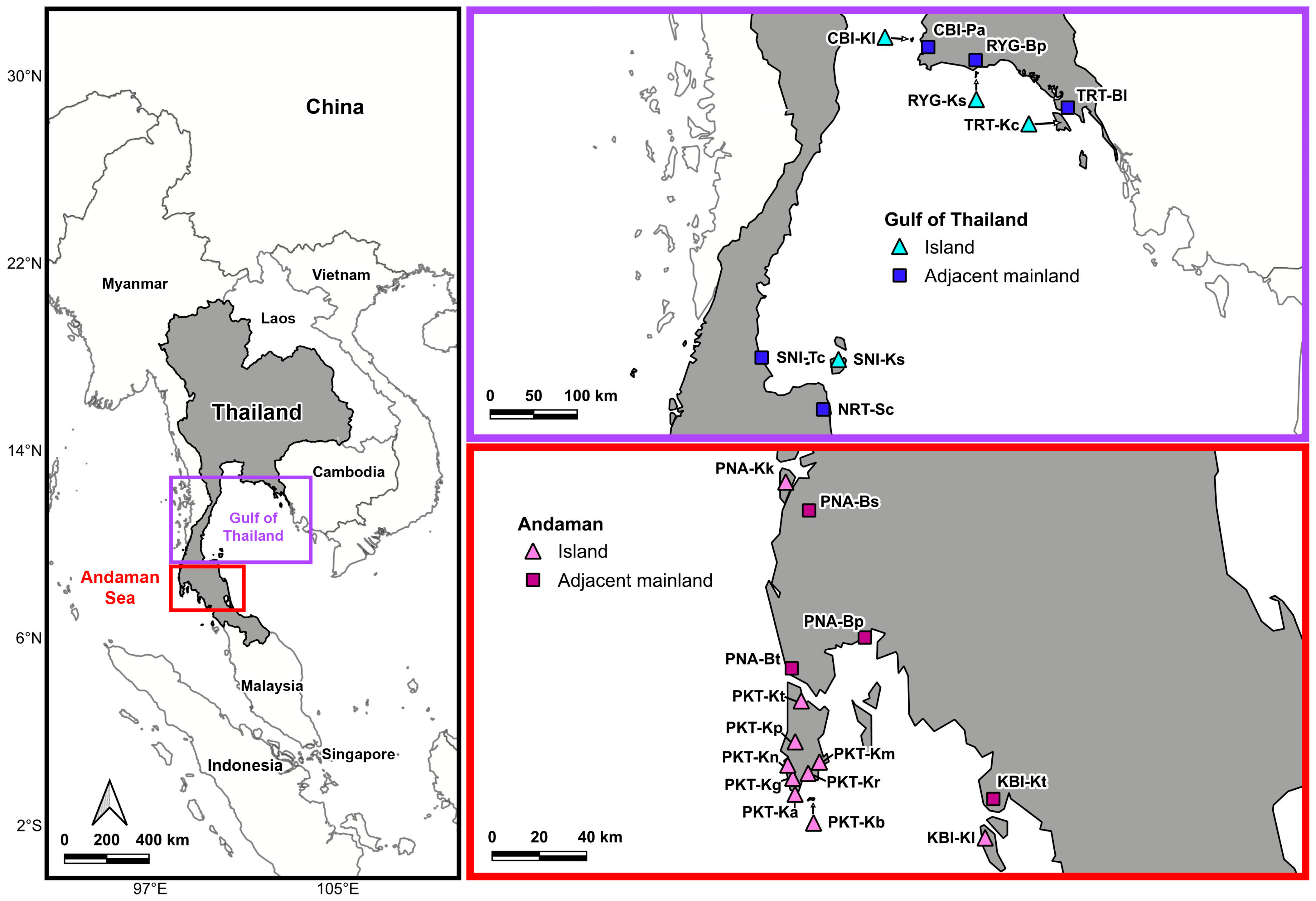 Animals 15 03028 g001