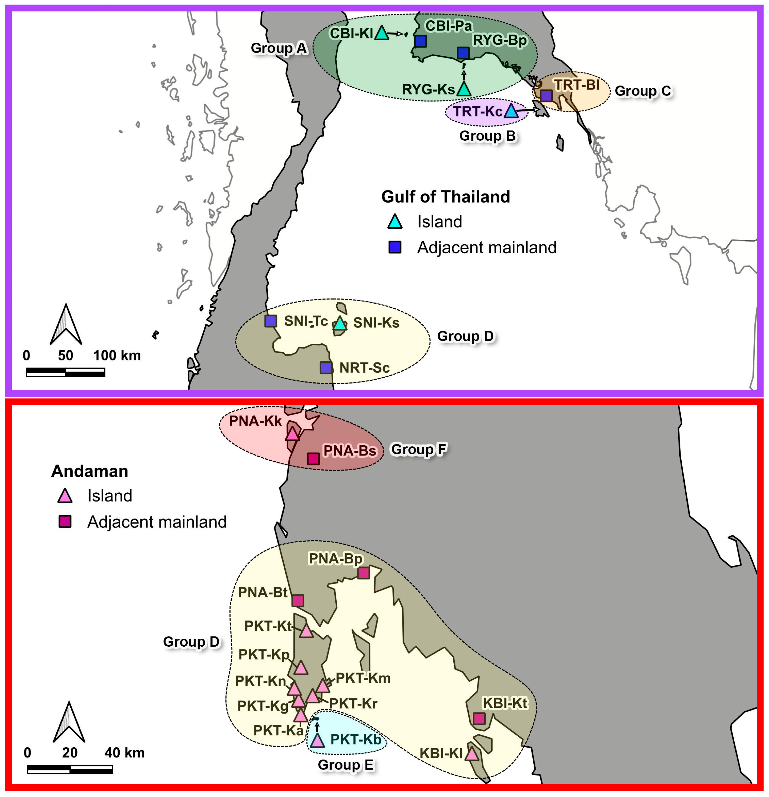 Animals 15 03028 g003