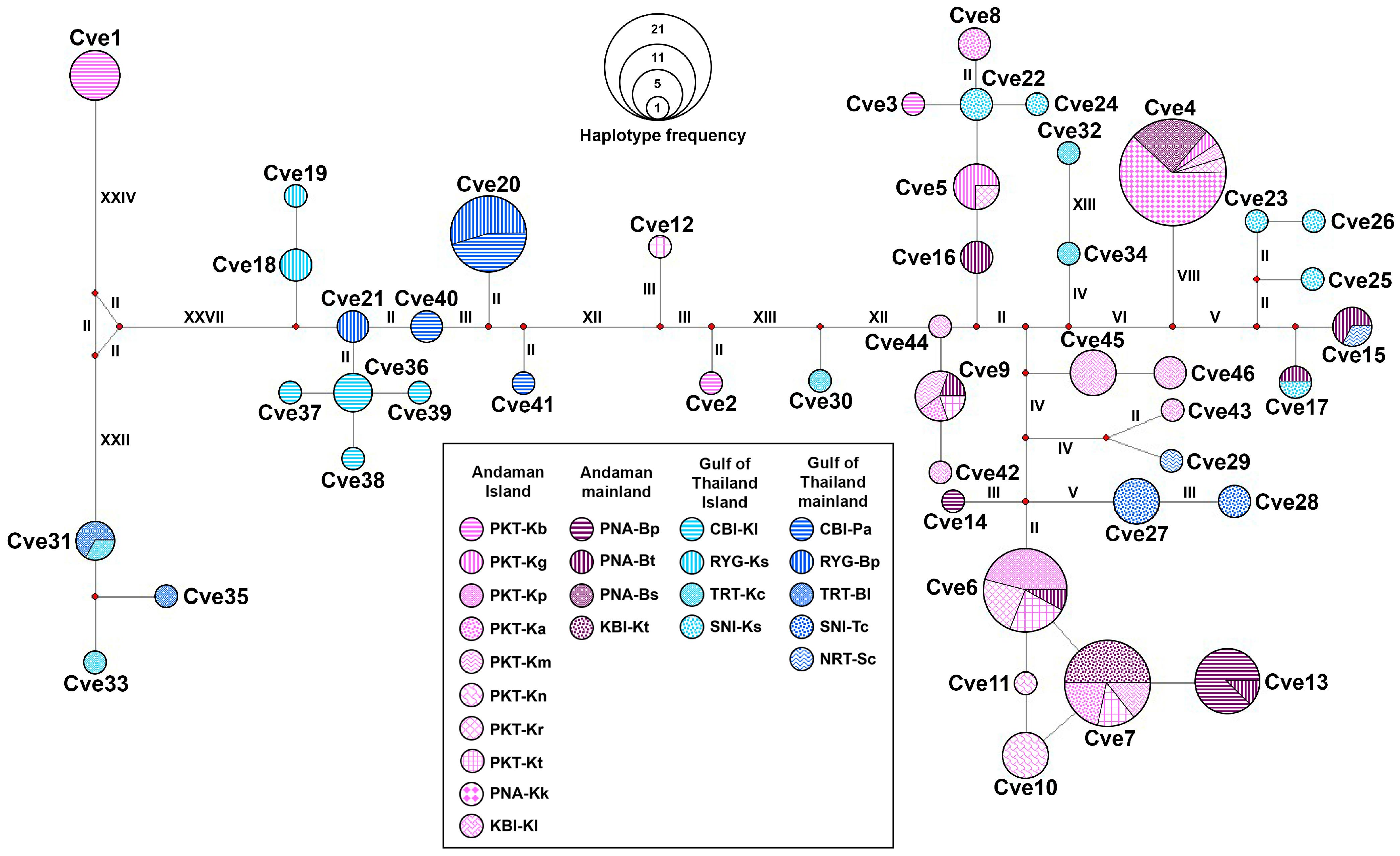 Animals 15 03028 g006
