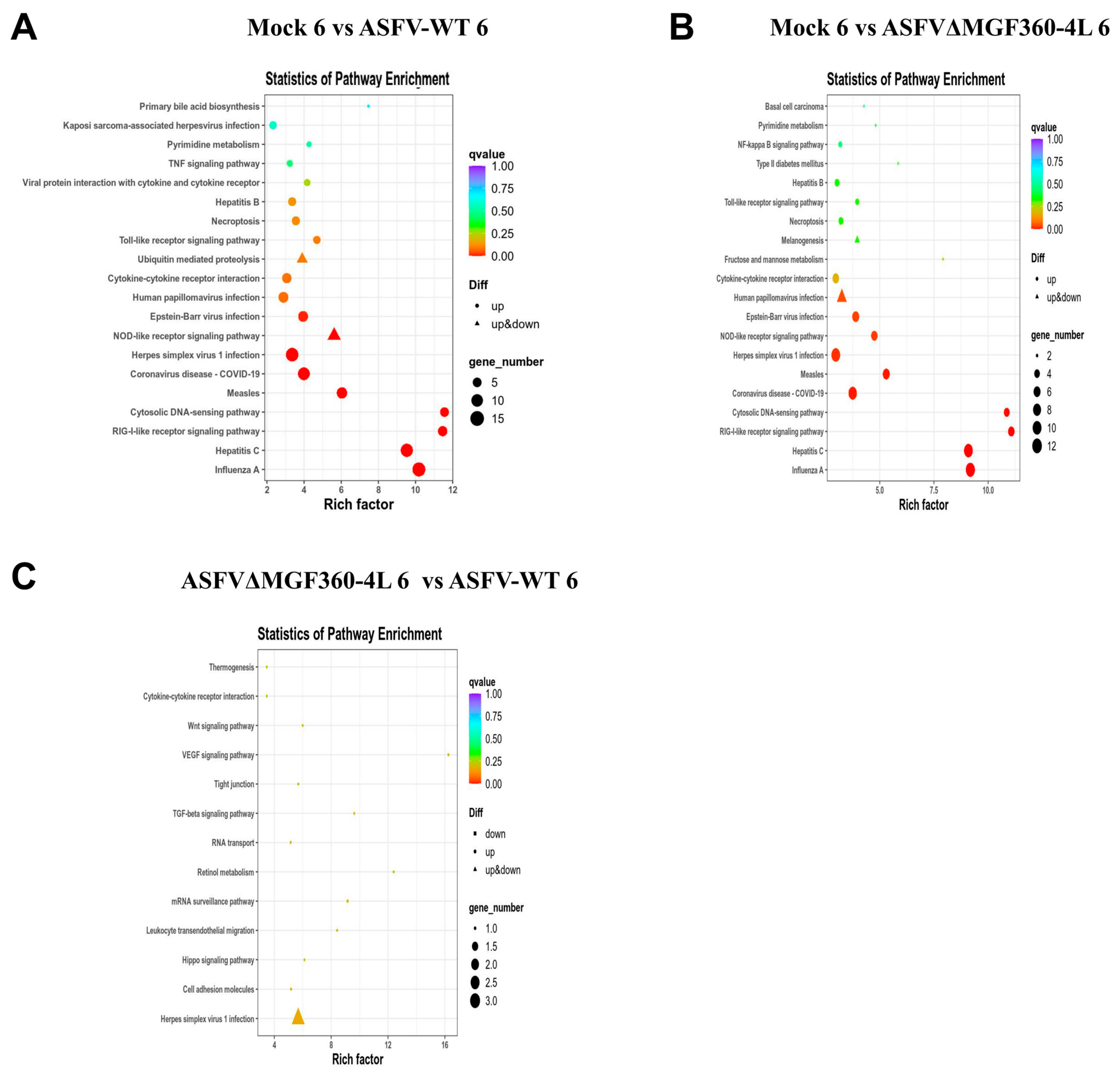 Animals 15 03029 g004