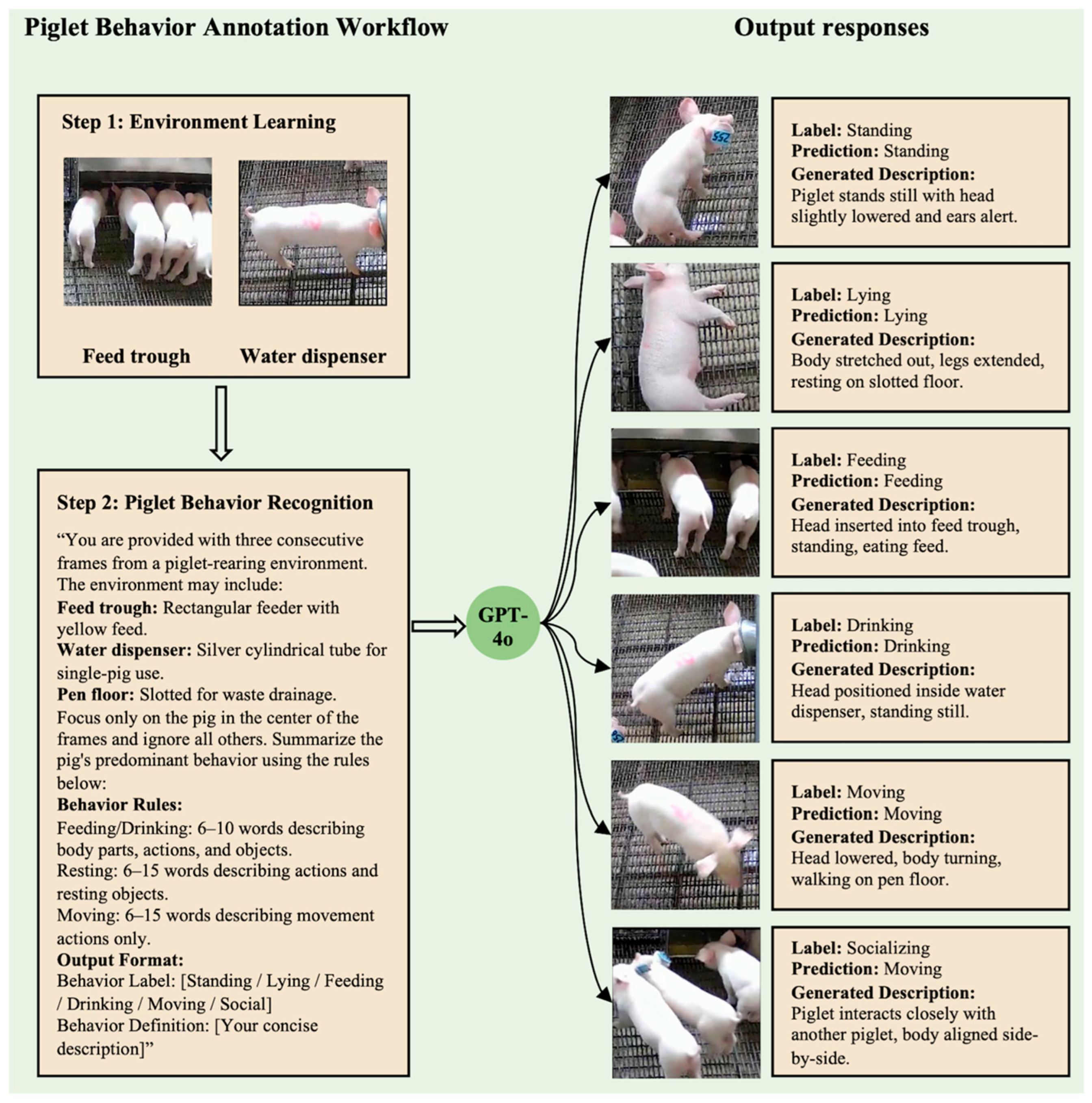 Animals 15 03030 g006