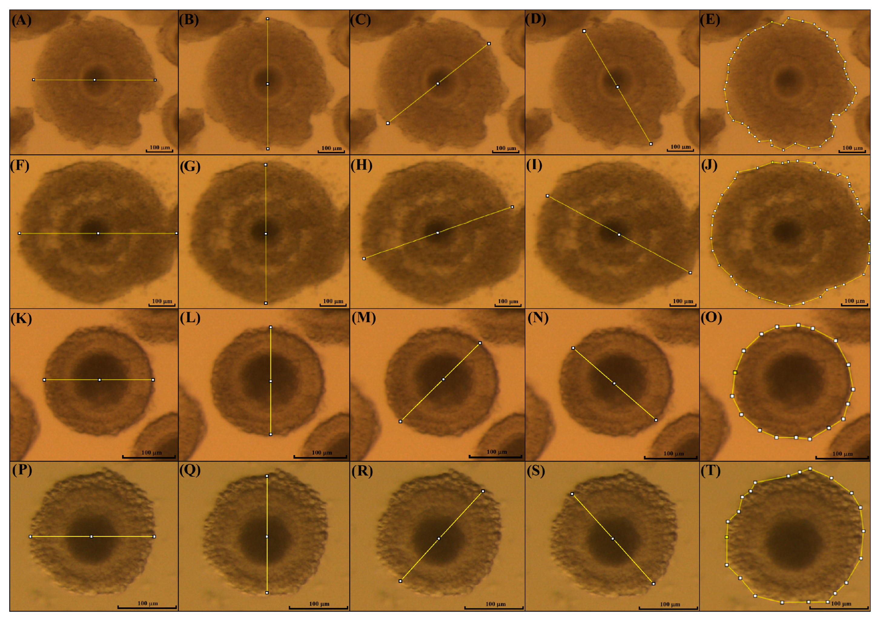 Animals 15 03031 g002