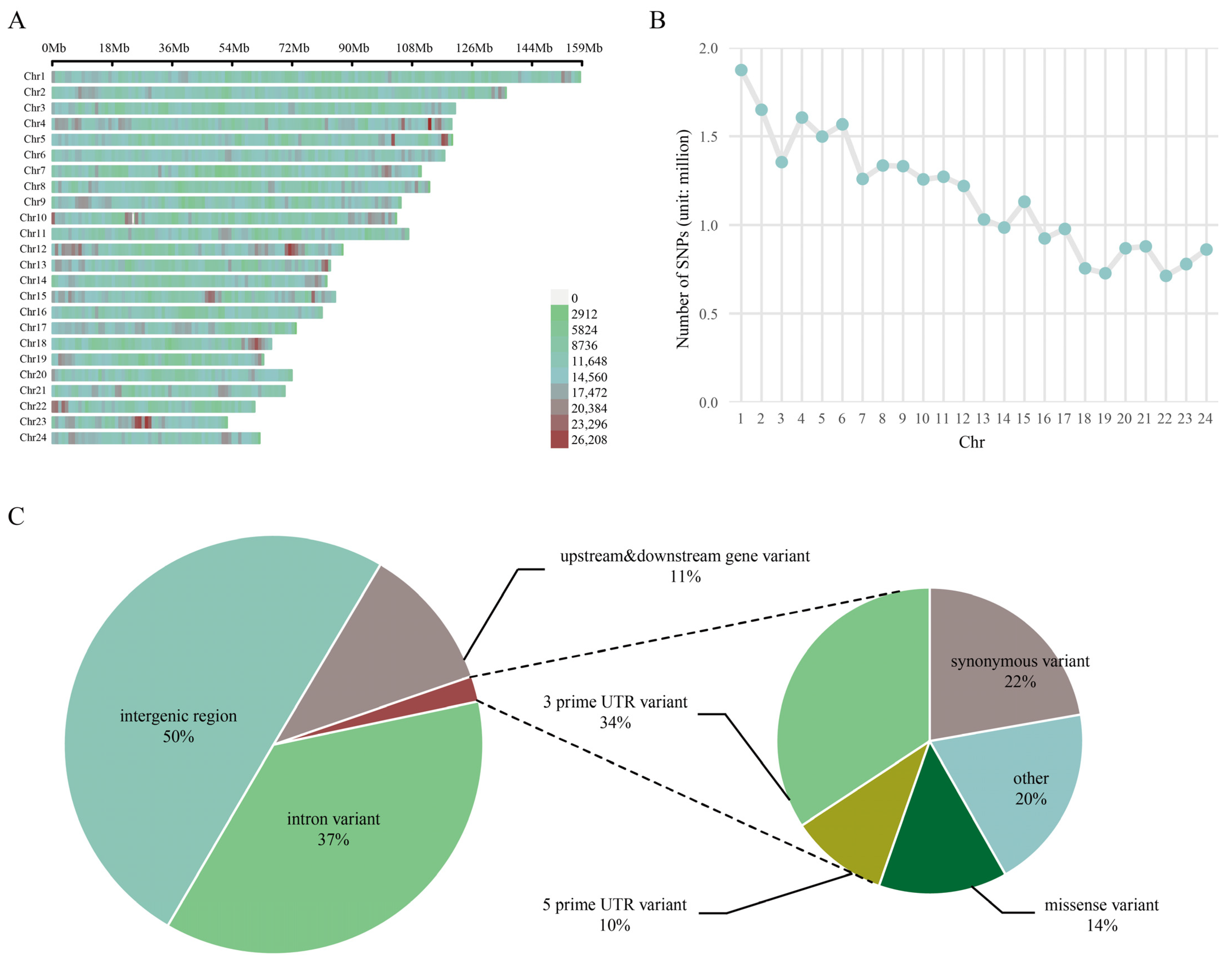 Animals 15 03033 g001