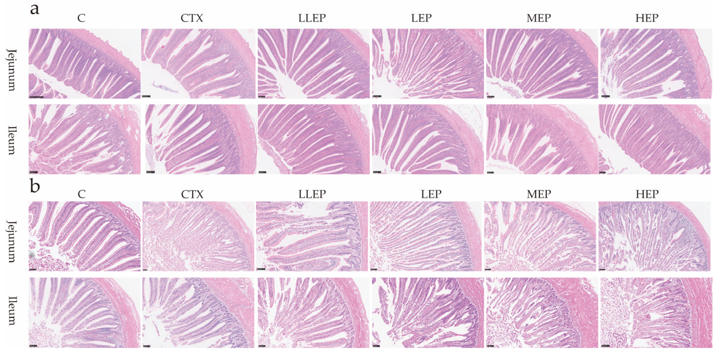 Animals 15 03036 g001