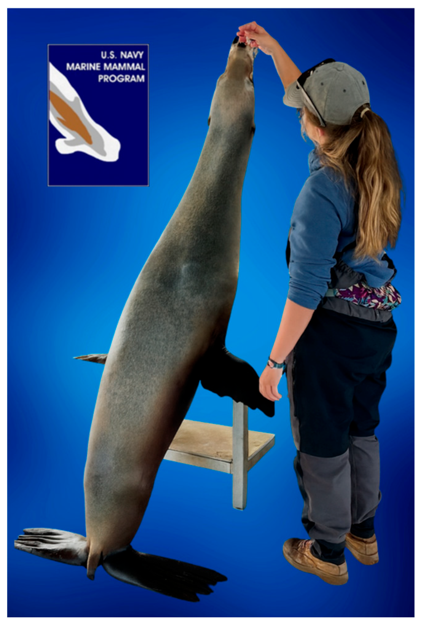 Animals 15 03039 g001