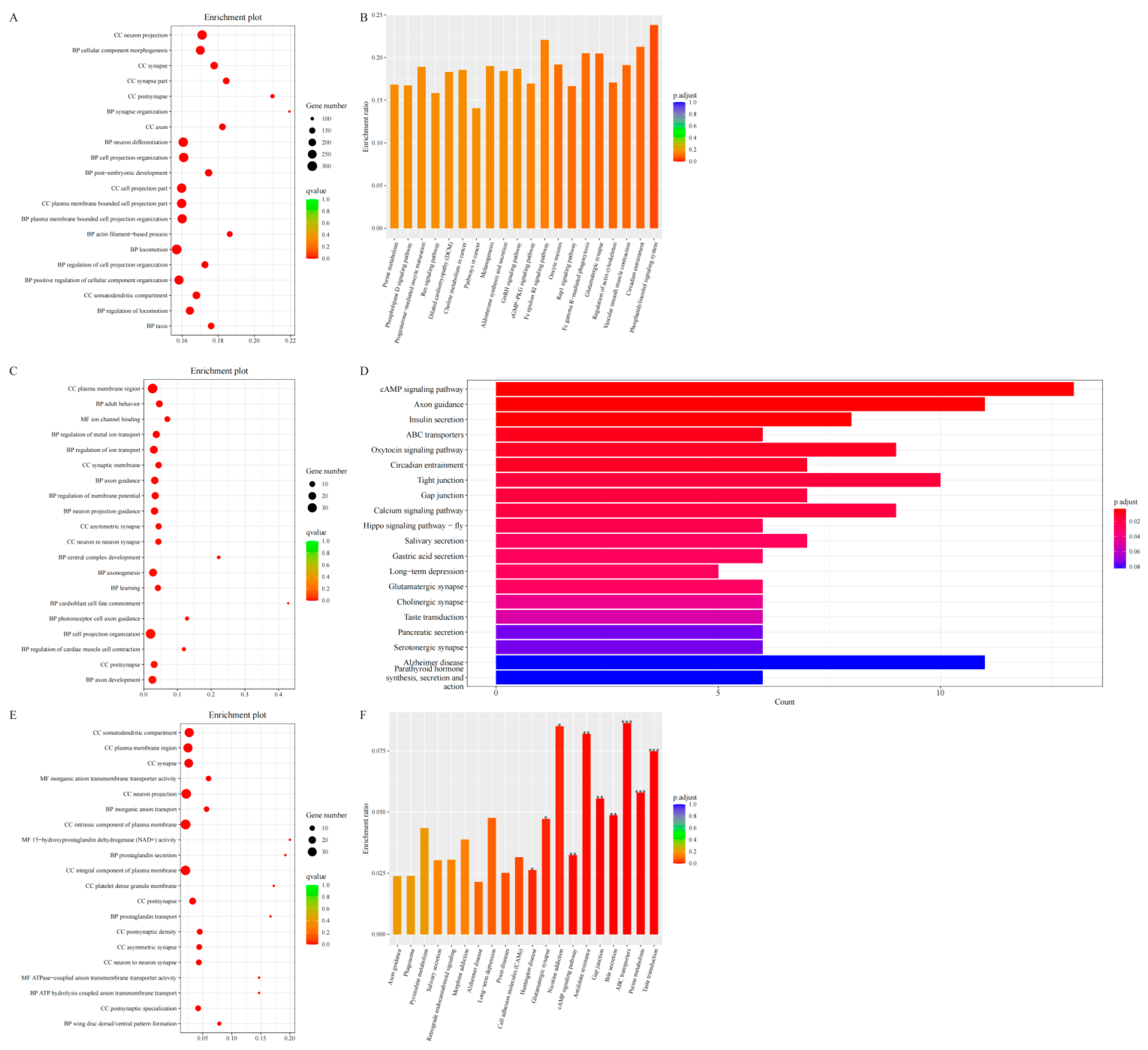 Animals 15 03046 g007 Animals 15 03046 g007