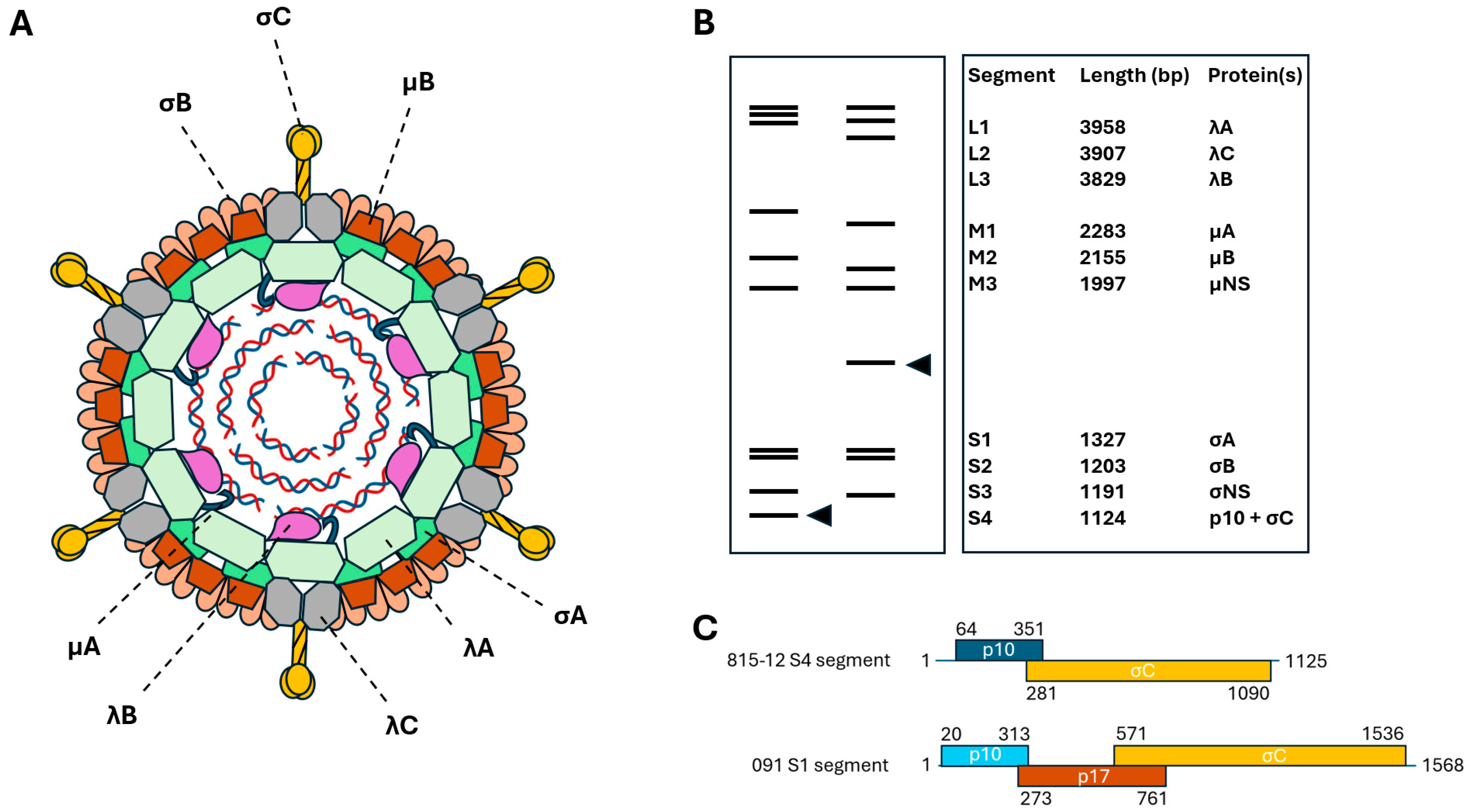 Animals 15 03053 g001 Animals 15 03053 g001