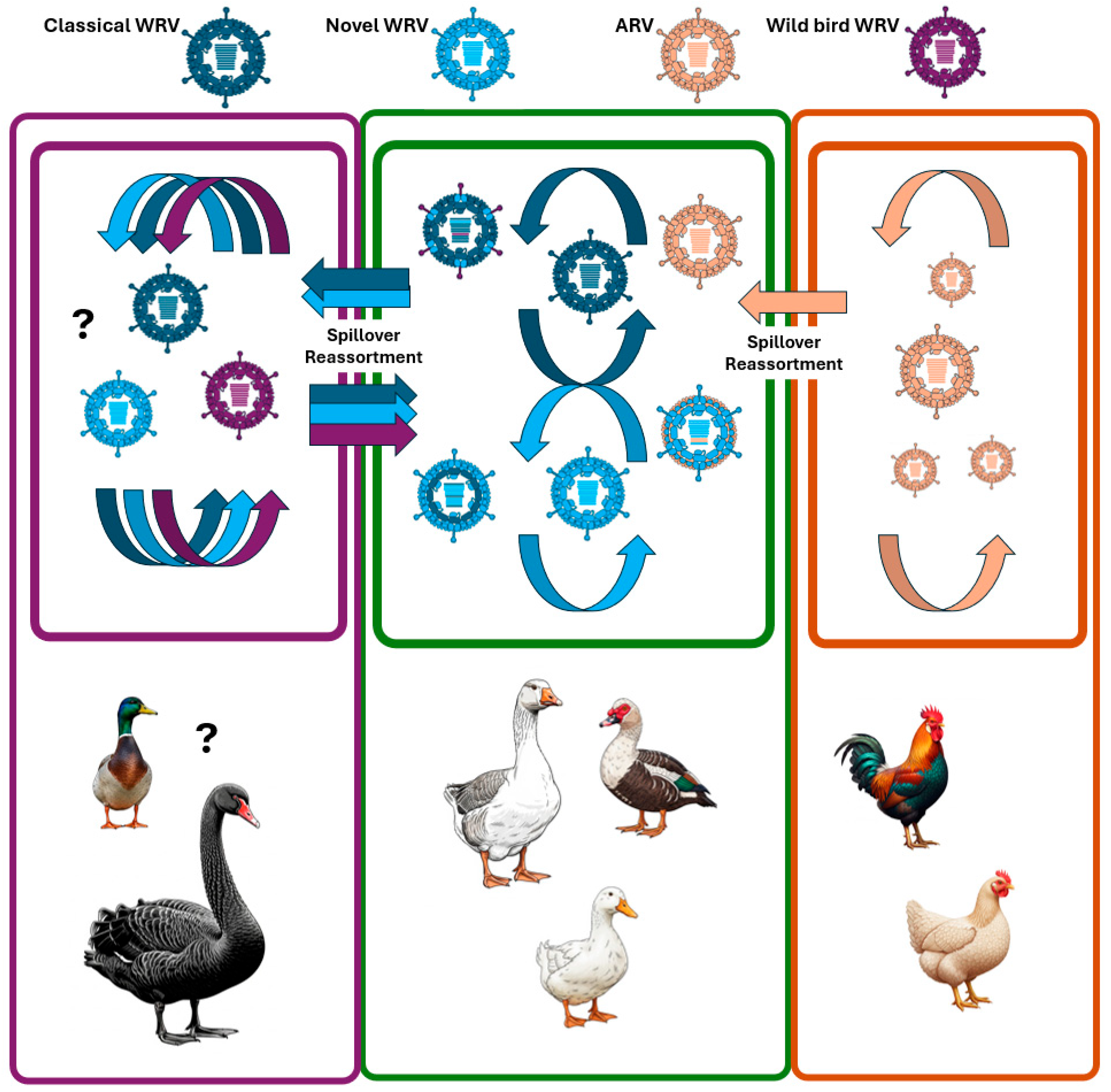 Animals 15 03053 g003 Animals 15 03053 g003