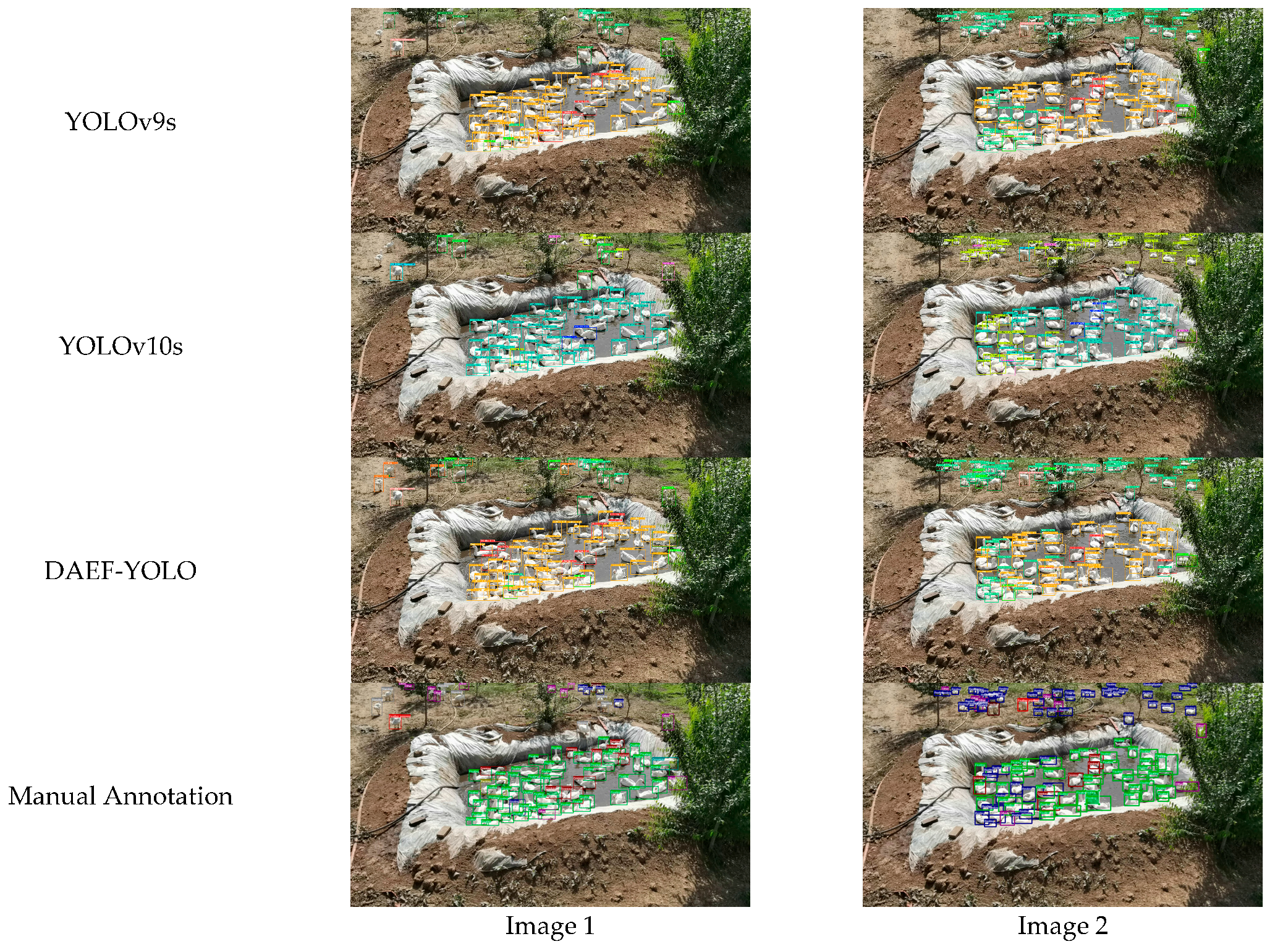 Animals 15 03058 g013b Animals 15 03058 g013b