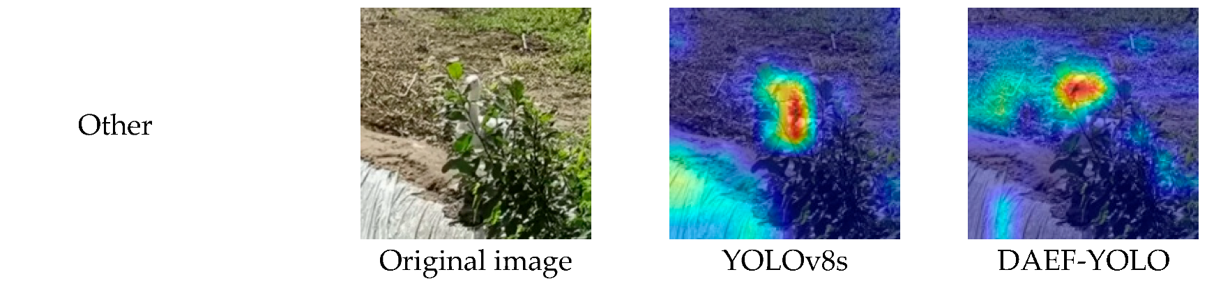 Animals 15 03058 g014b Animals 15 03058 g014b