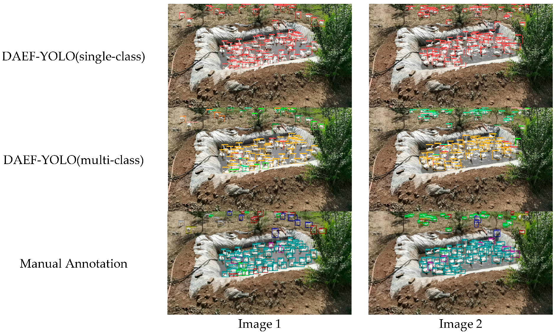 Animals 15 03058 g015 Animals 15 03058 g015