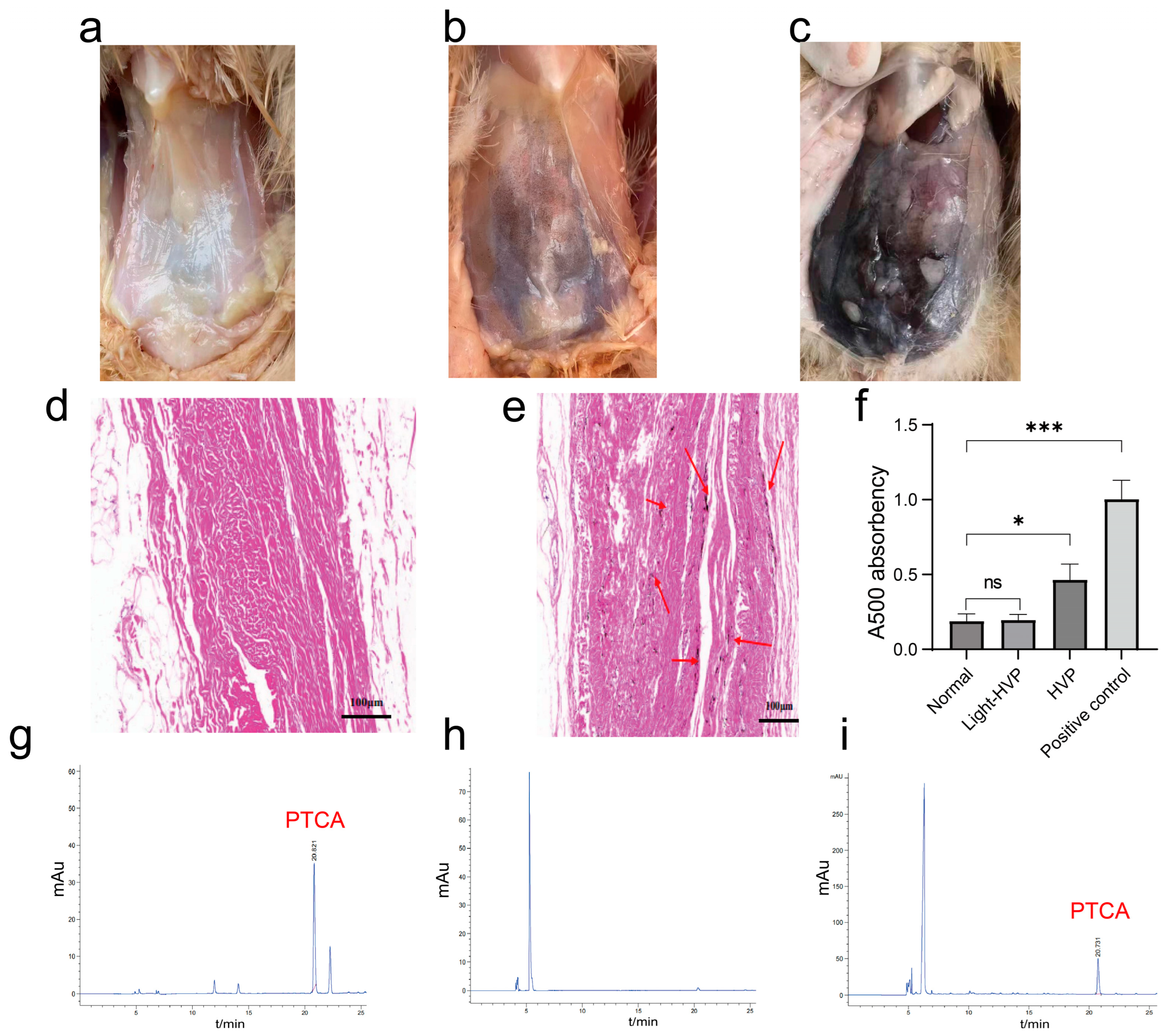Animals 15 03076 g001
