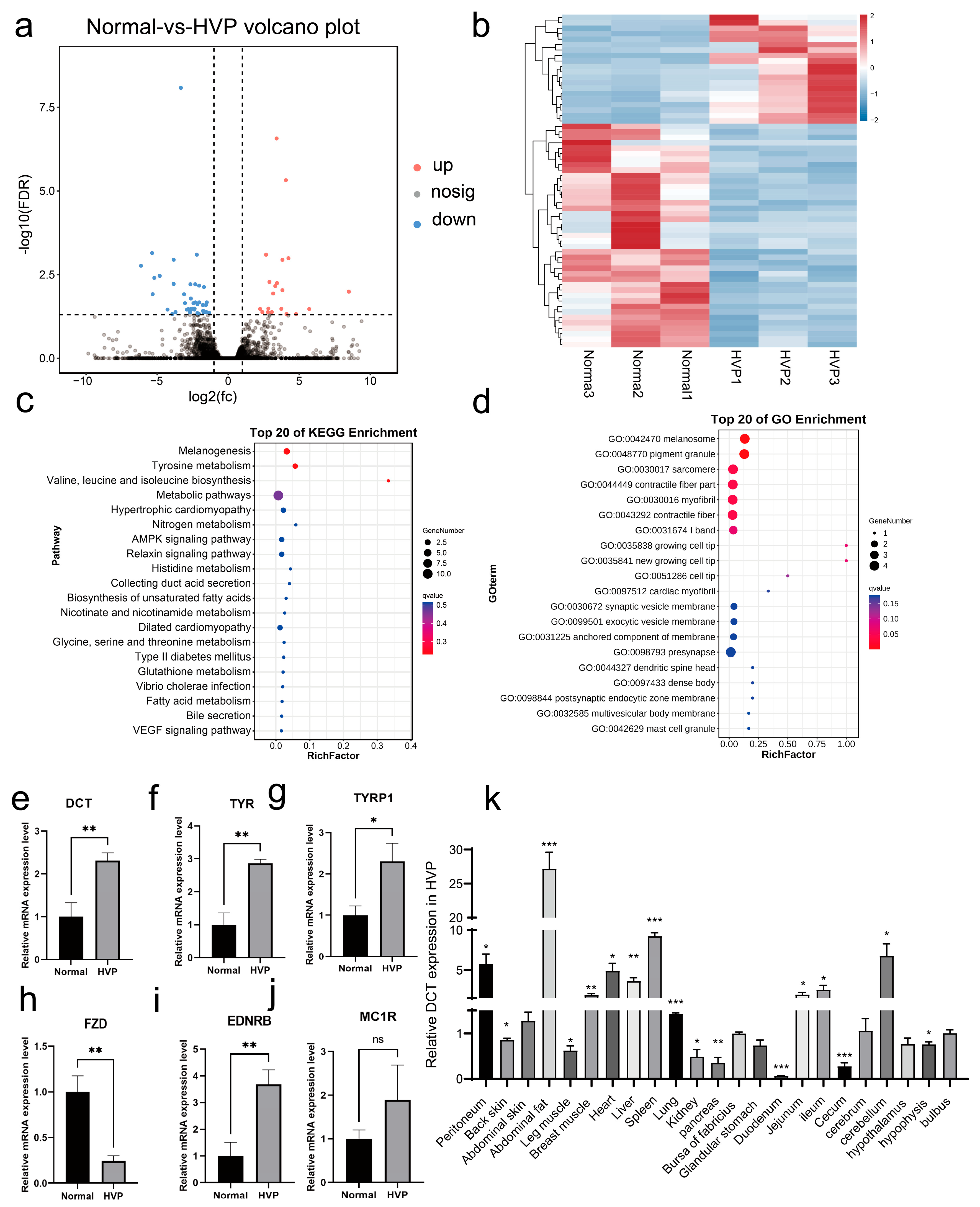Animals 15 03076 g002