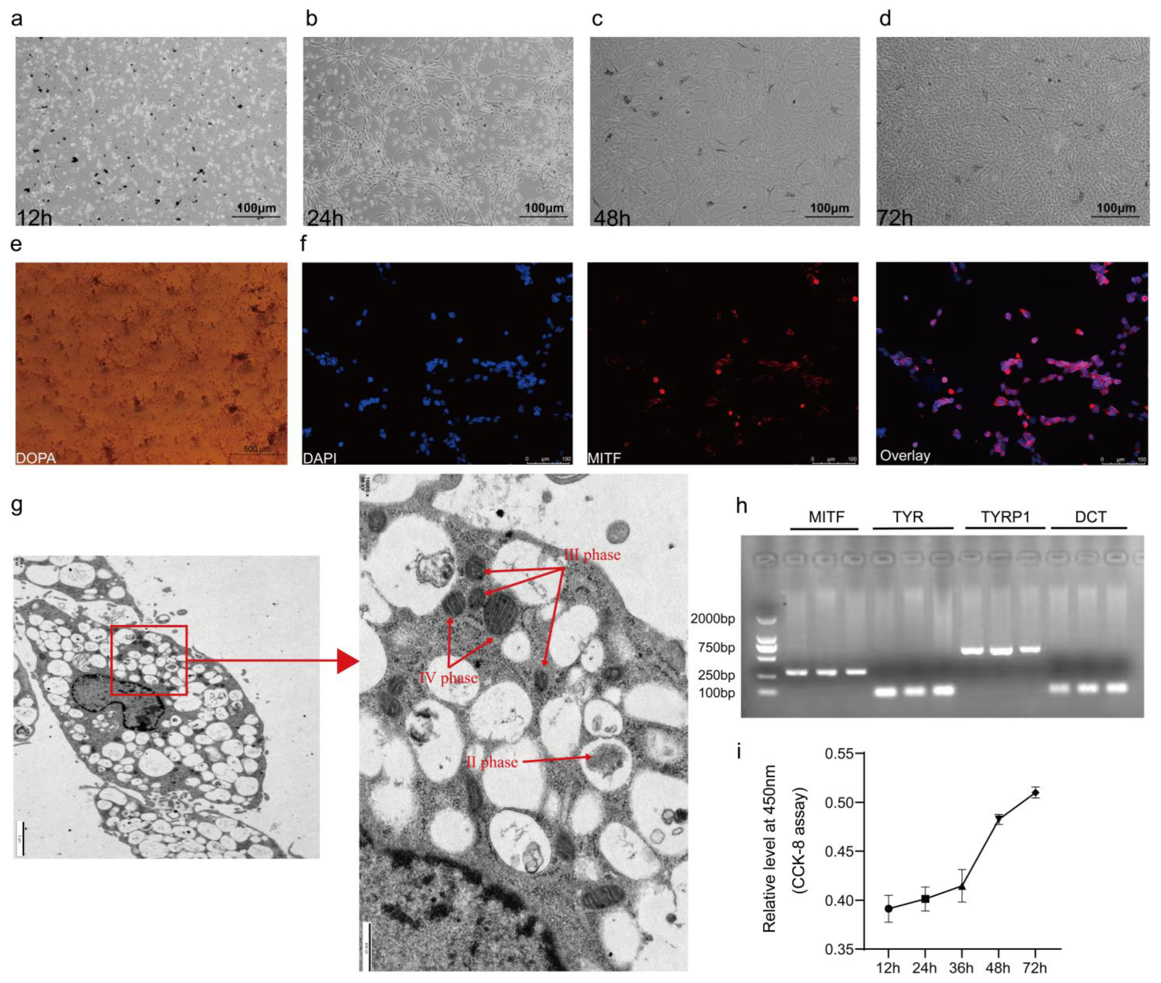 Animals 15 03076 g003