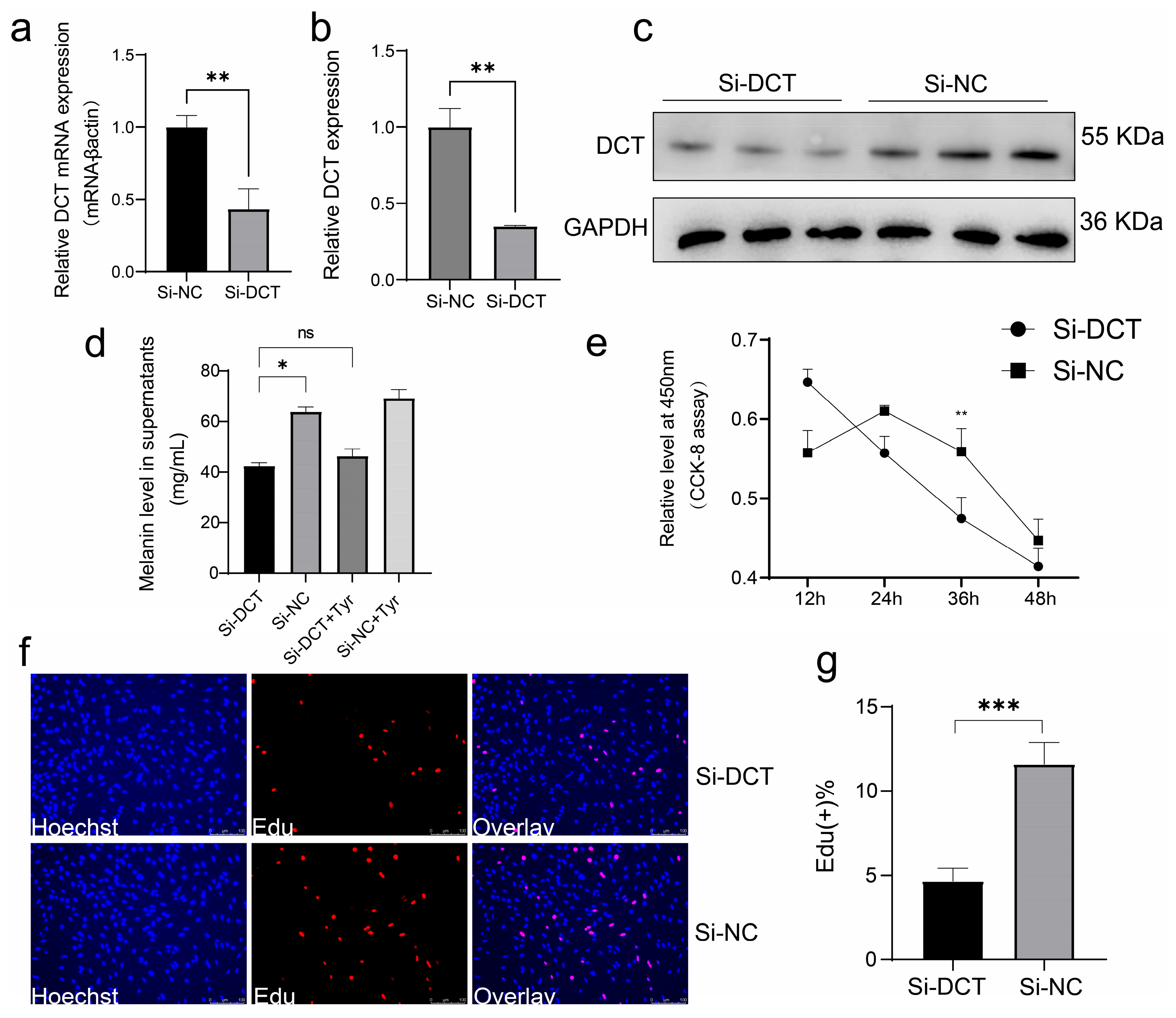 Animals 15 03076 g005