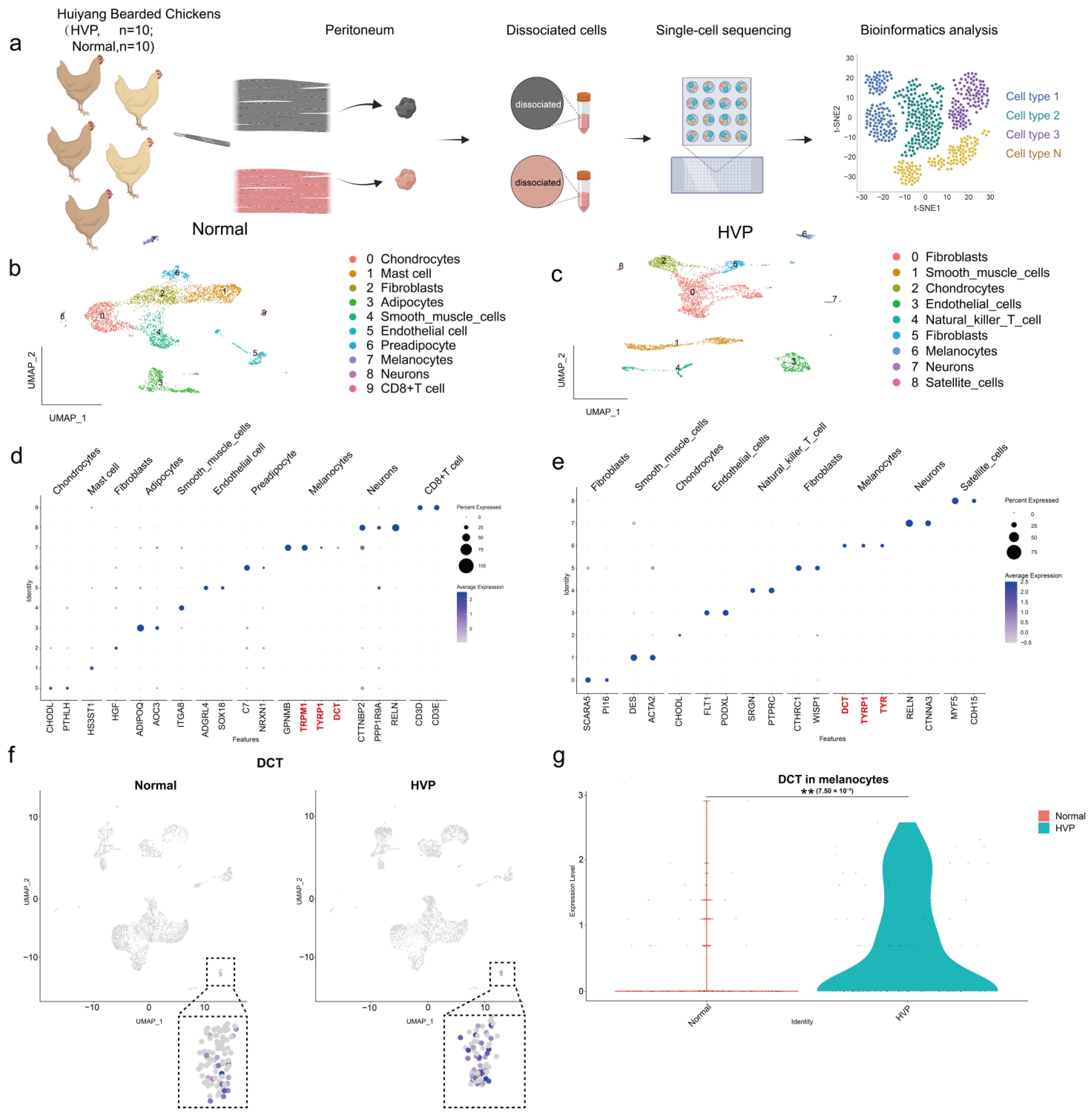 Animals 15 03076 g006