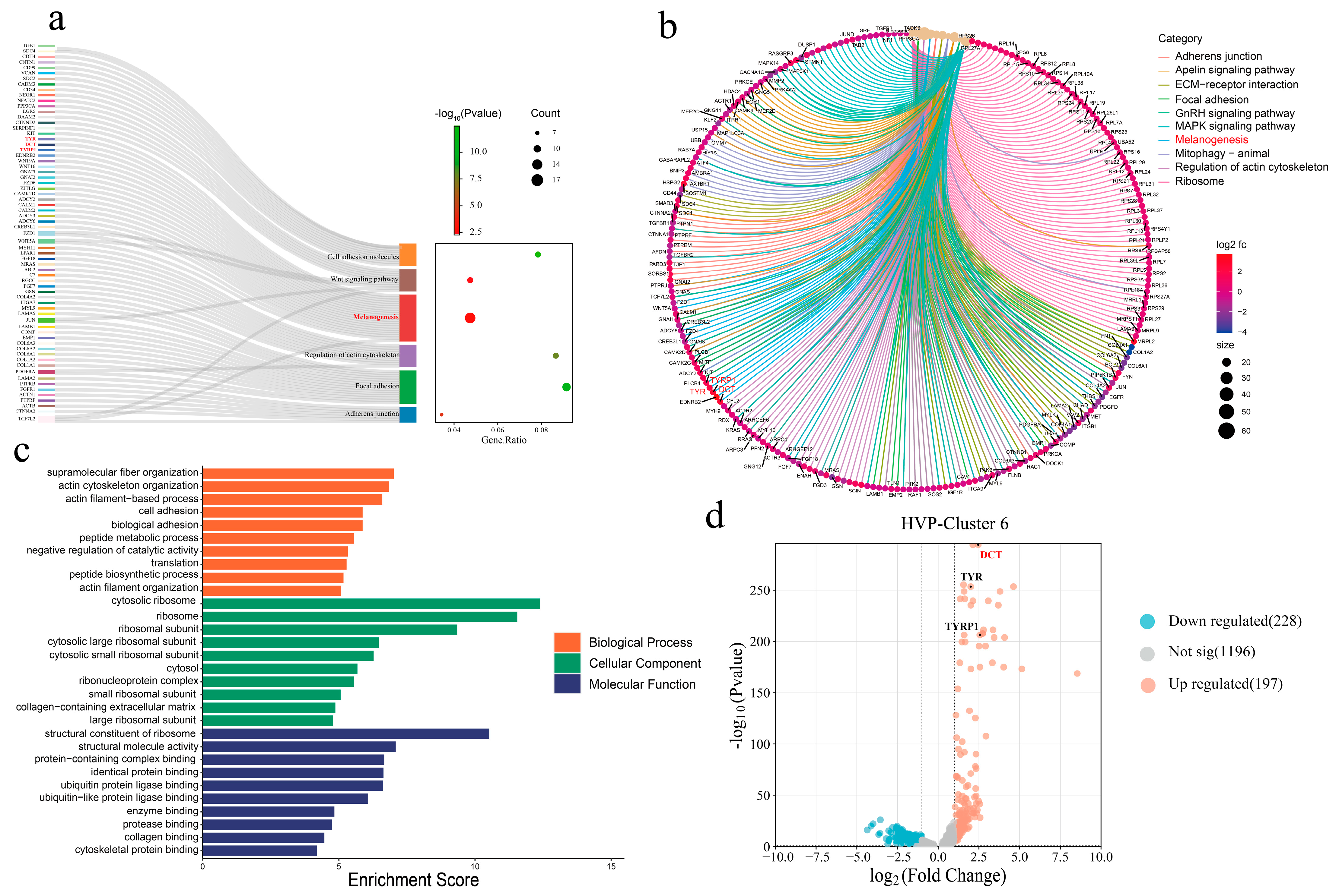 Animals 15 03076 g007
