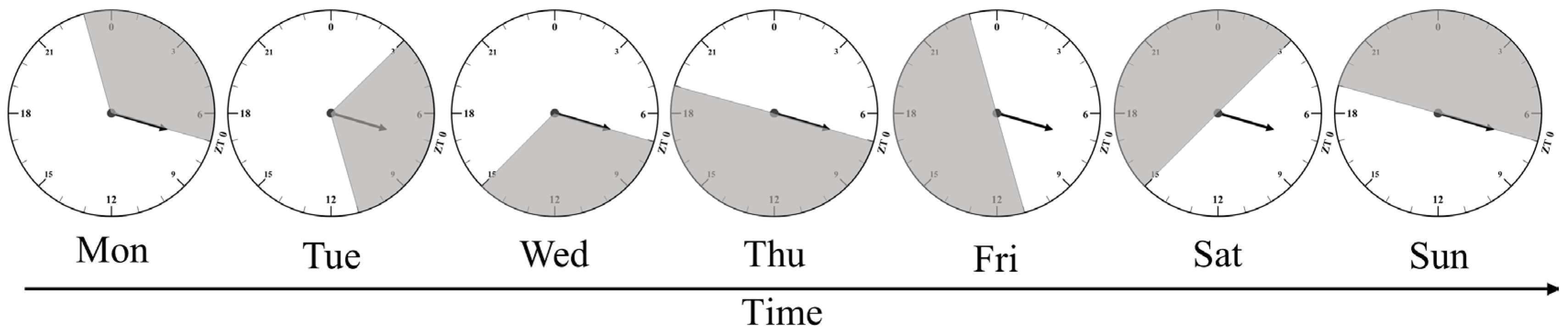 Animals 15 03086 g001 Animals 15 03086 g001