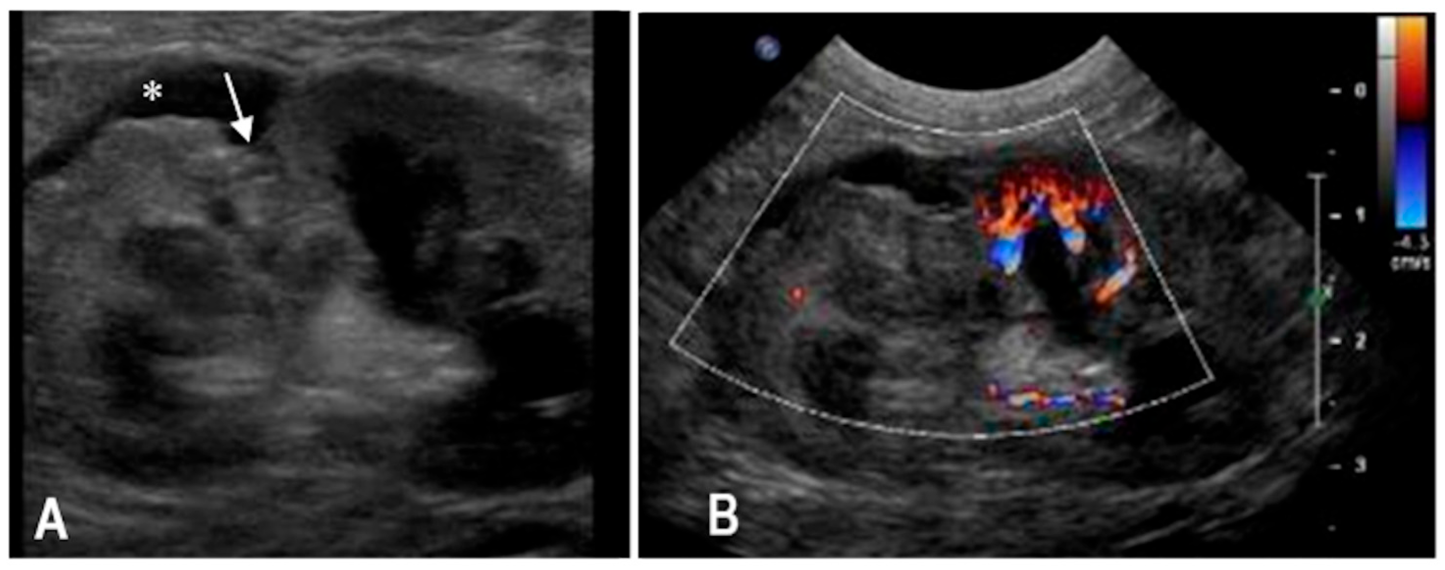 Animals 15 03089 g001 Animals 15 03089 g001