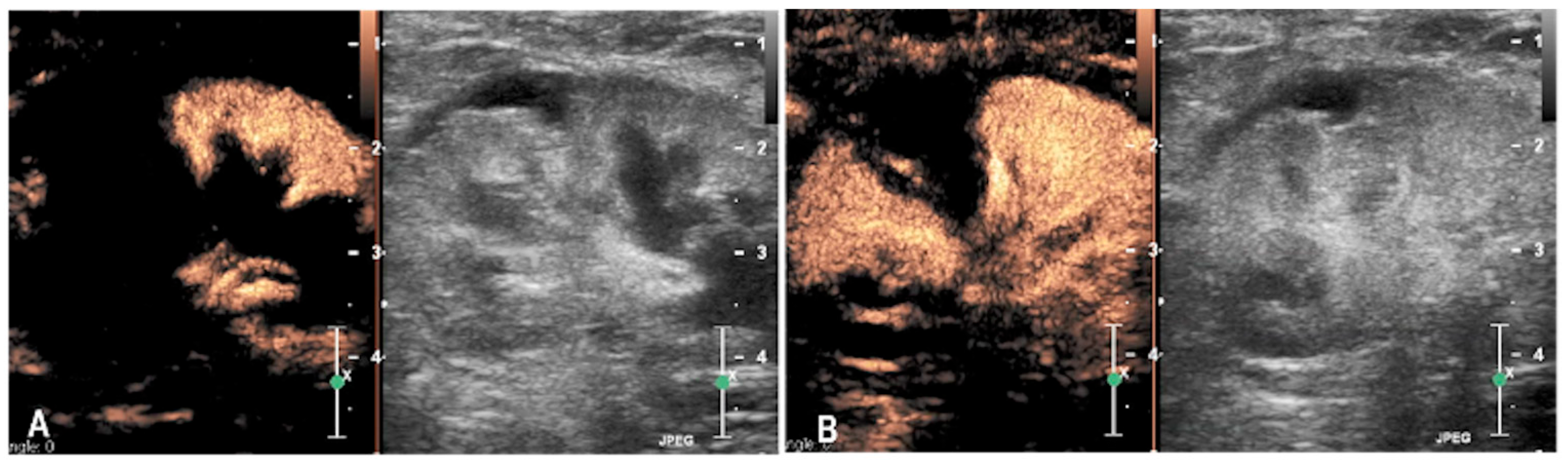 Animals 15 03089 g002 Animals 15 03089 g002