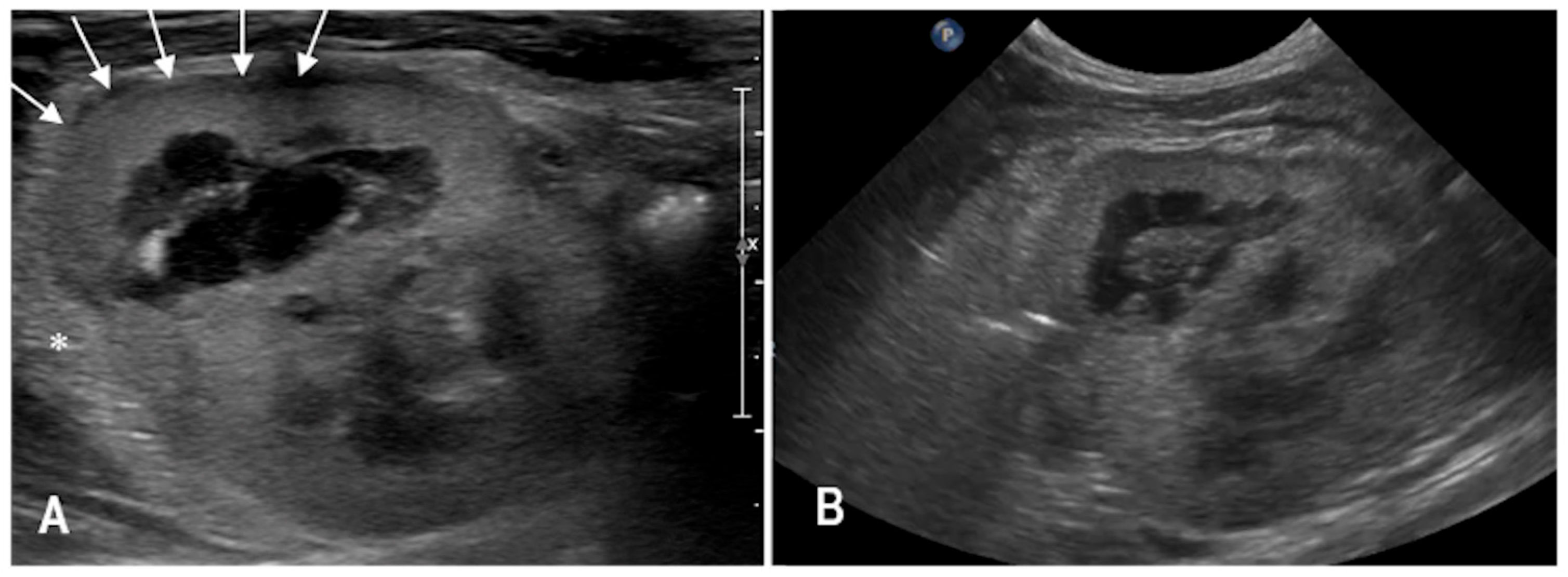 Animals 15 03089 g003 Animals 15 03089 g003