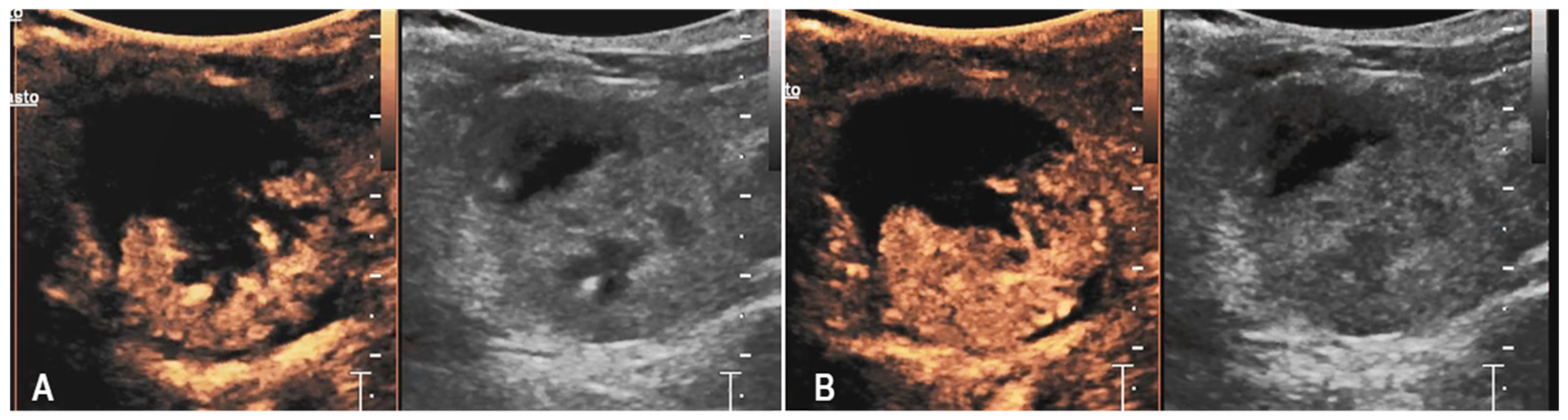 Animals 15 03089 g004 Animals 15 03089 g004