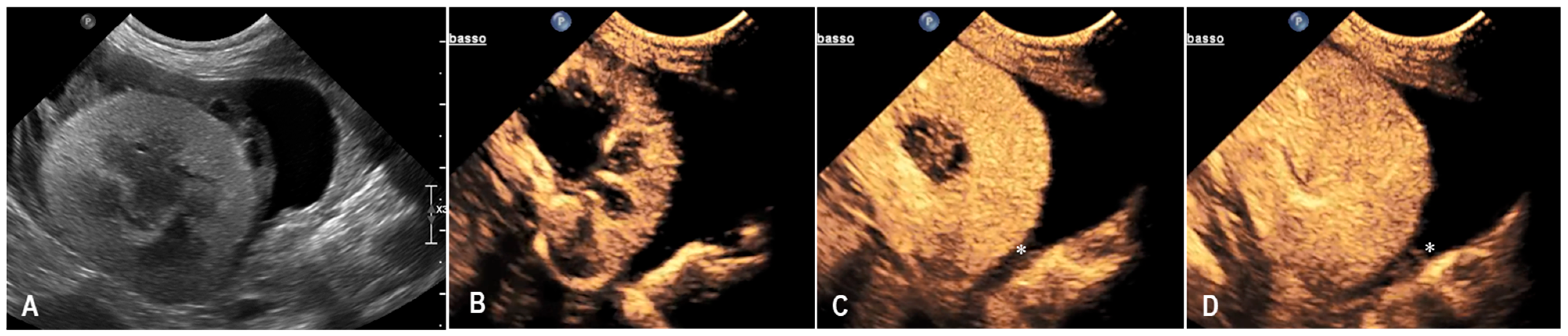 Animals 15 03089 g005 Animals 15 03089 g005