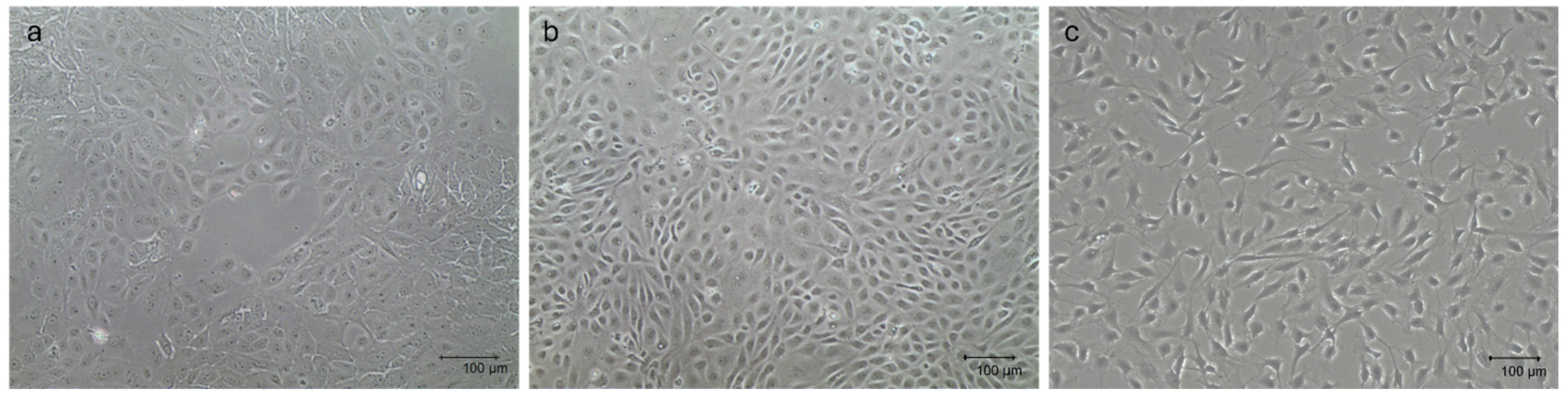 Animals 15 03095 g001 Animals 15 03095 g001