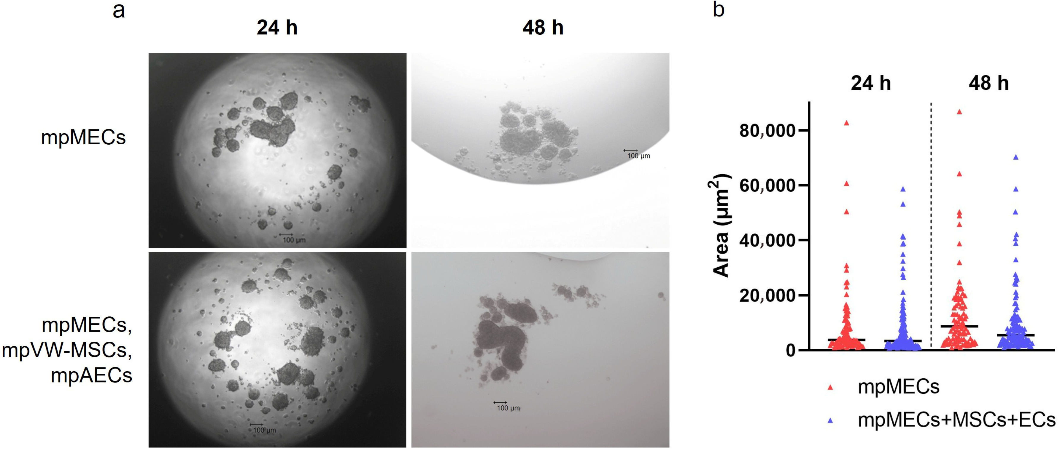 Animals 15 03095 g002 Animals 15 03095 g002