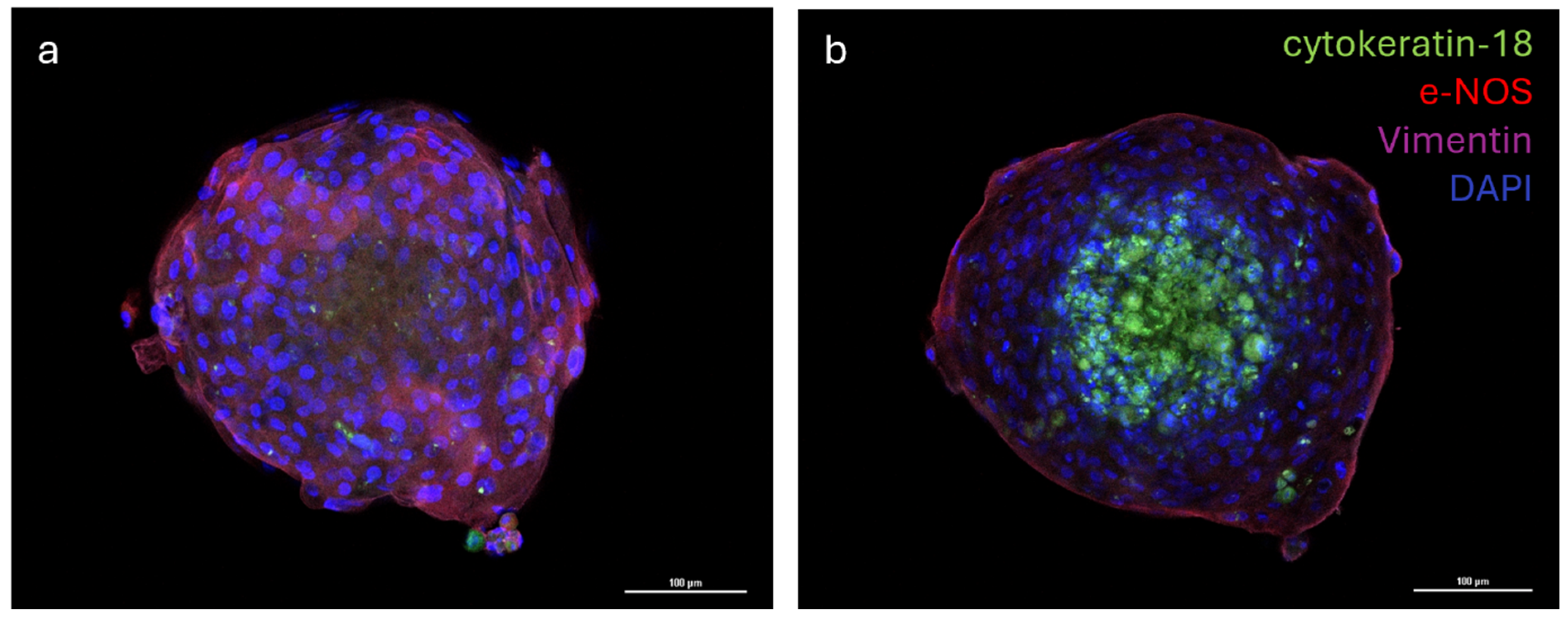 Animals 15 03095 g006 Animals 15 03095 g006
