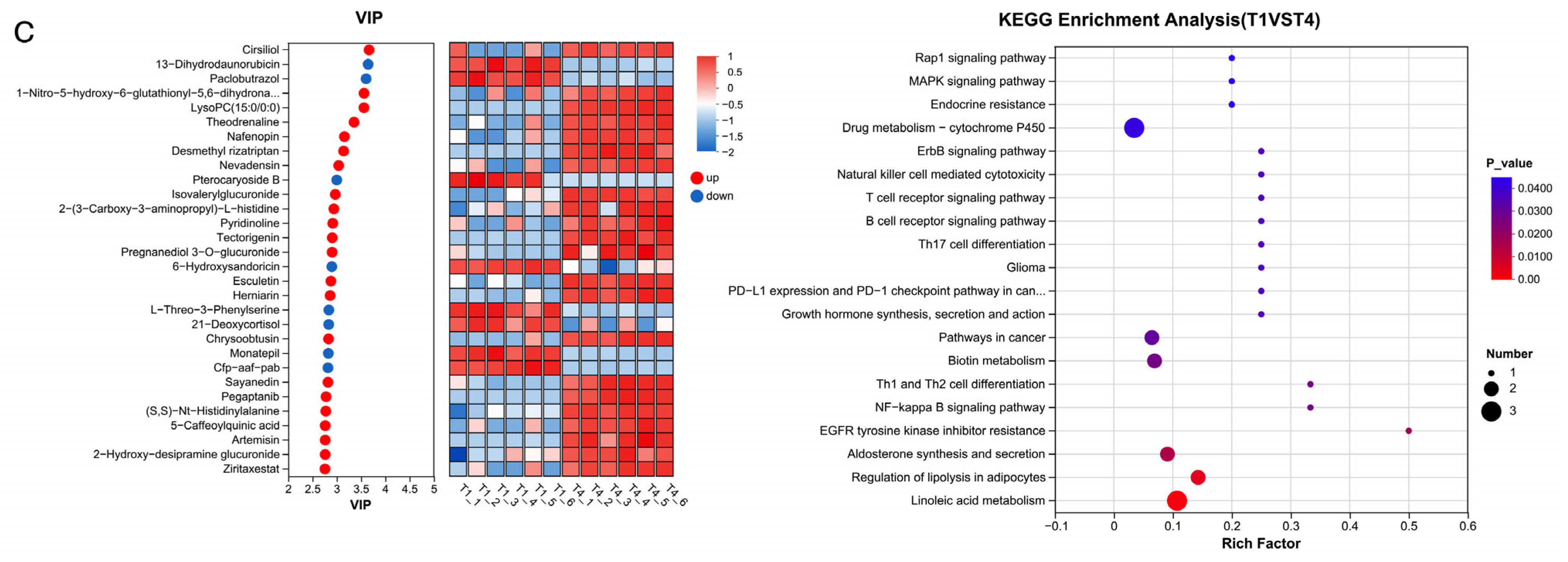Animals 15 03096 g006b