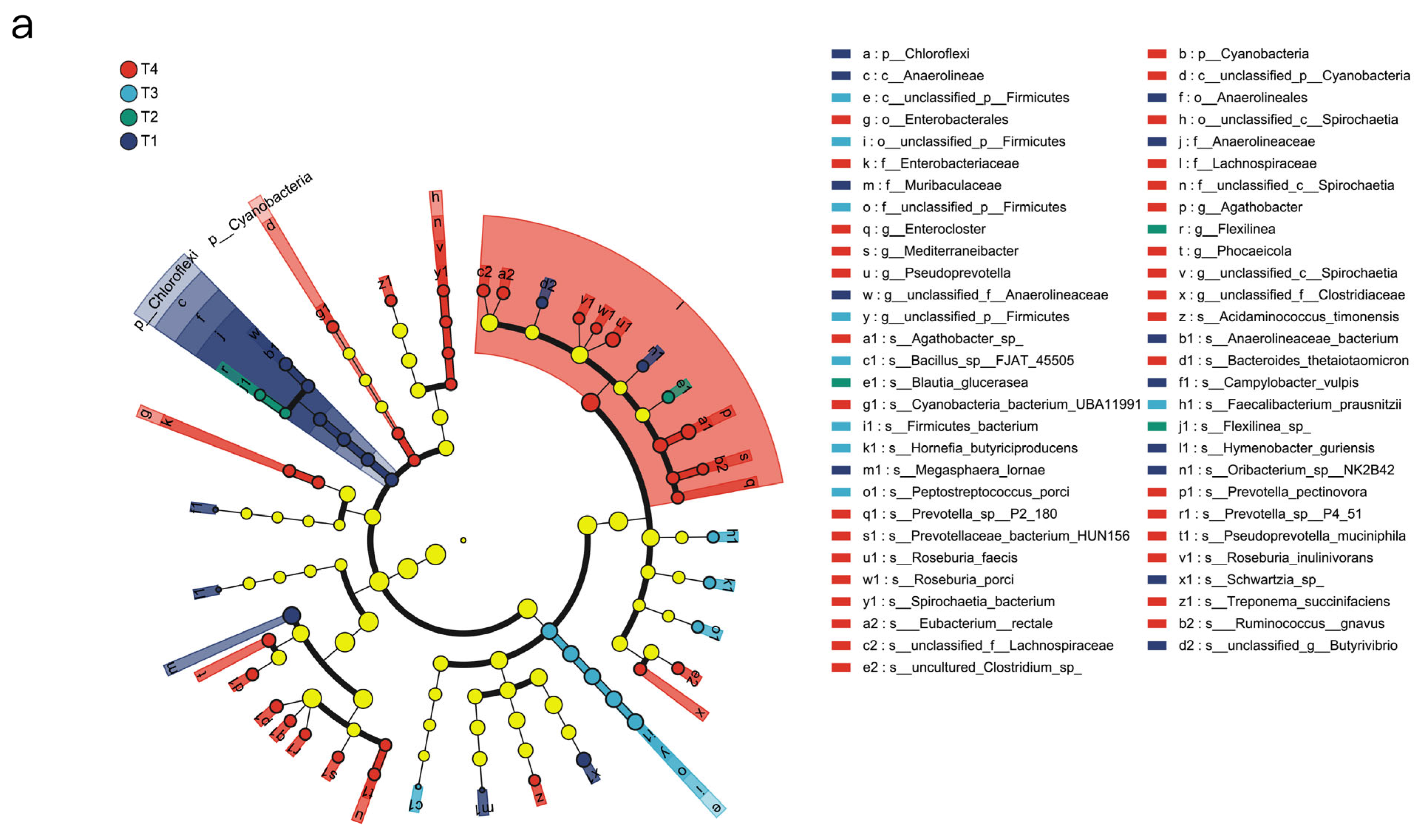 Animals 15 03096 g0a2a