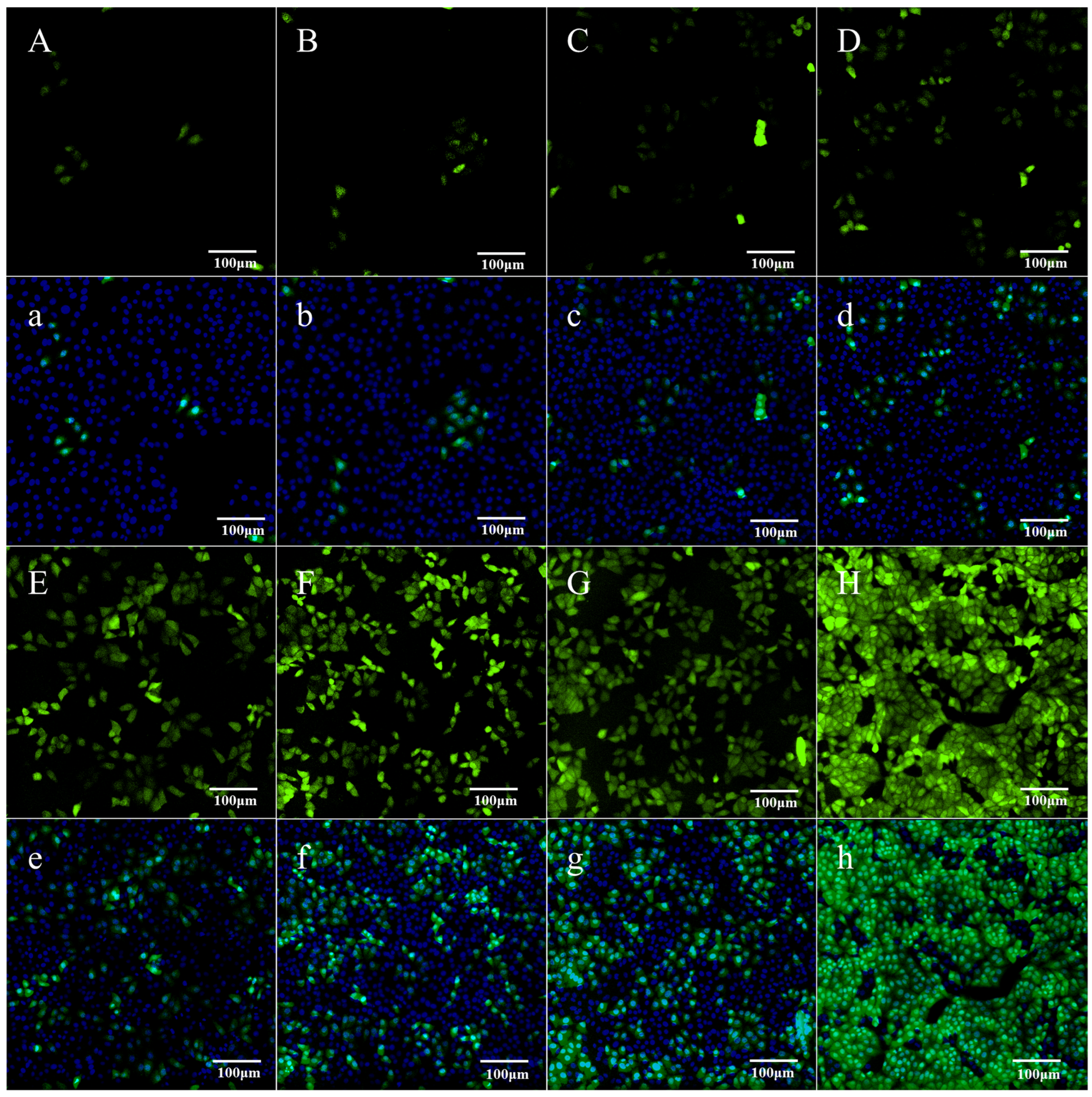 Animals 15 03097 g002 Animals 15 03097 g002