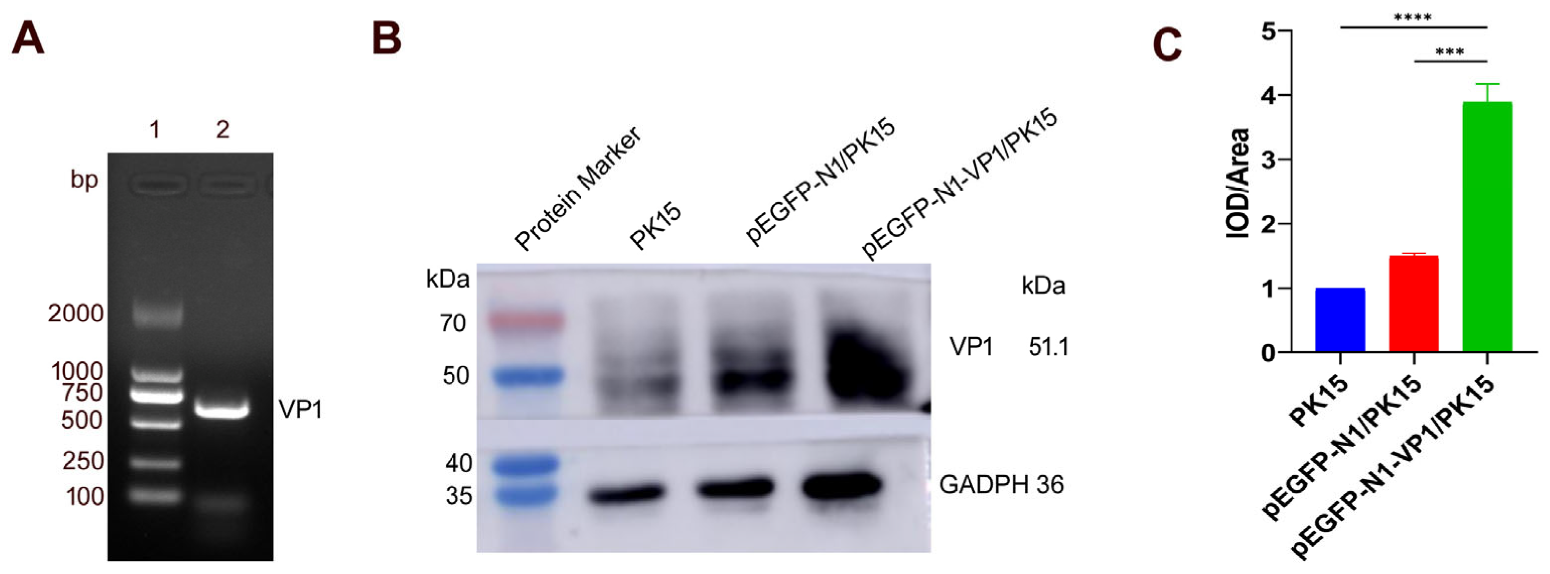 Animals 15 03097 g004 Animals 15 03097 g004