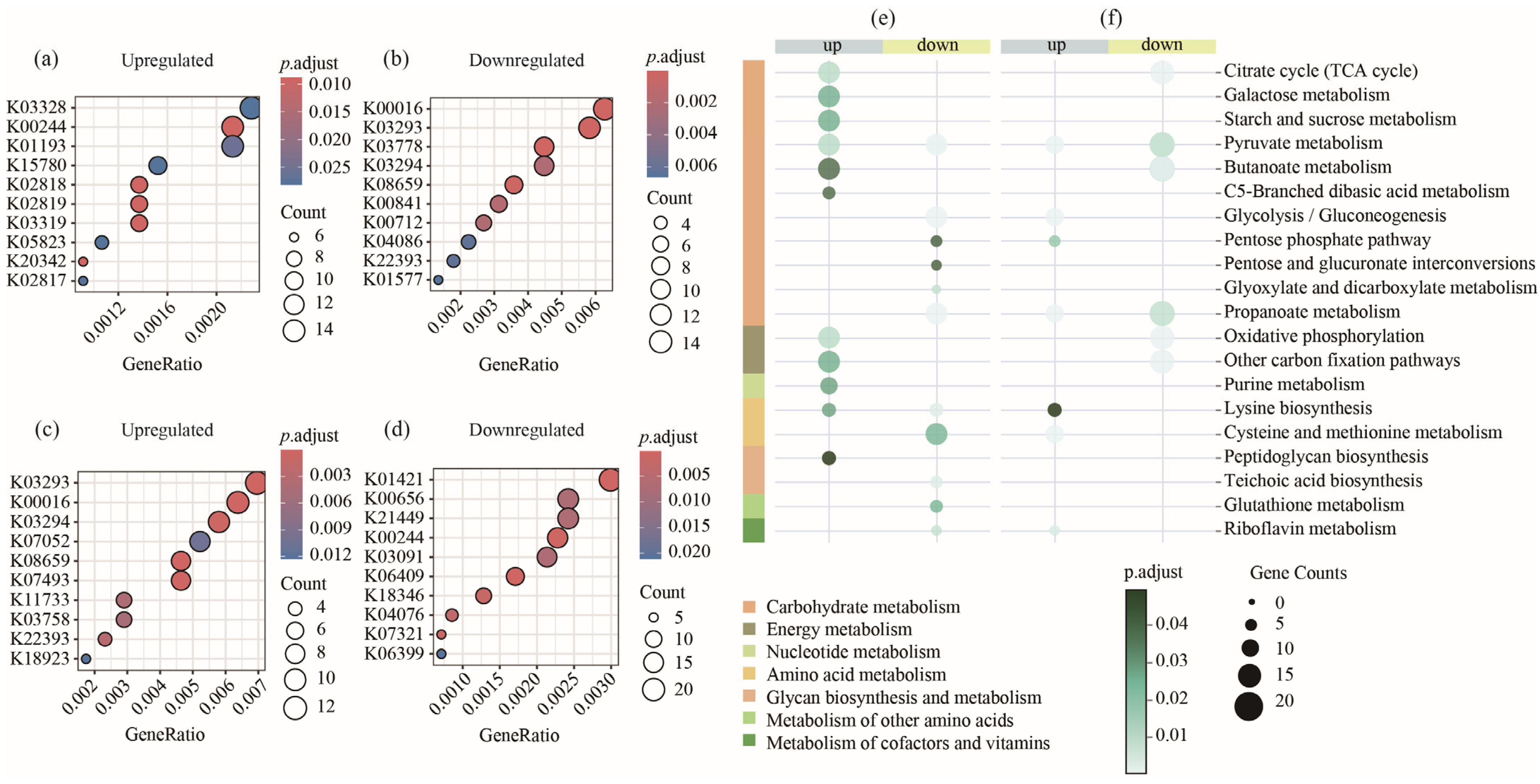 Animals 15 03102 g002 Animals 15 03102 g002