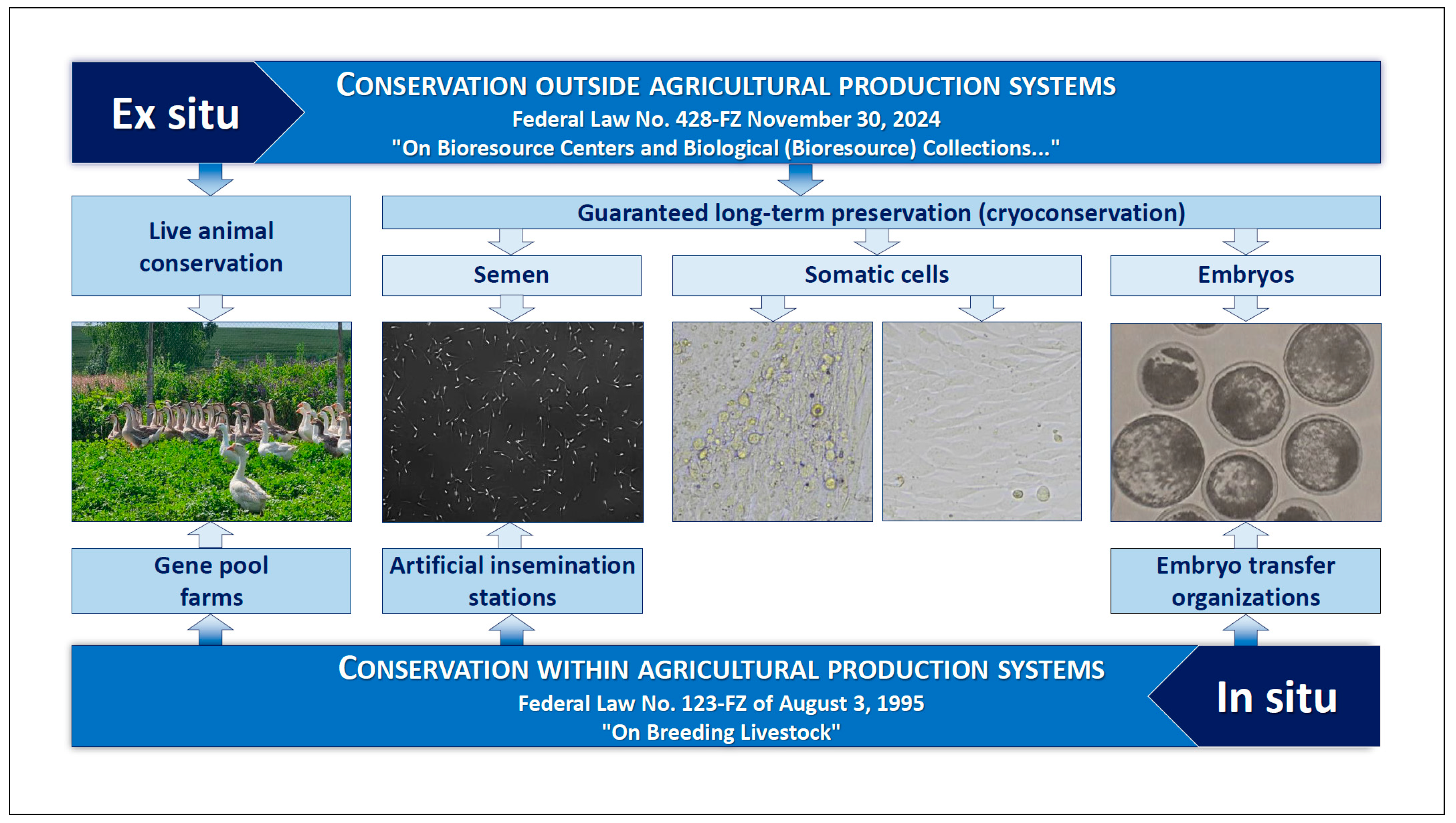 Animals 15 03103 g002 Animals 15 03103 g002