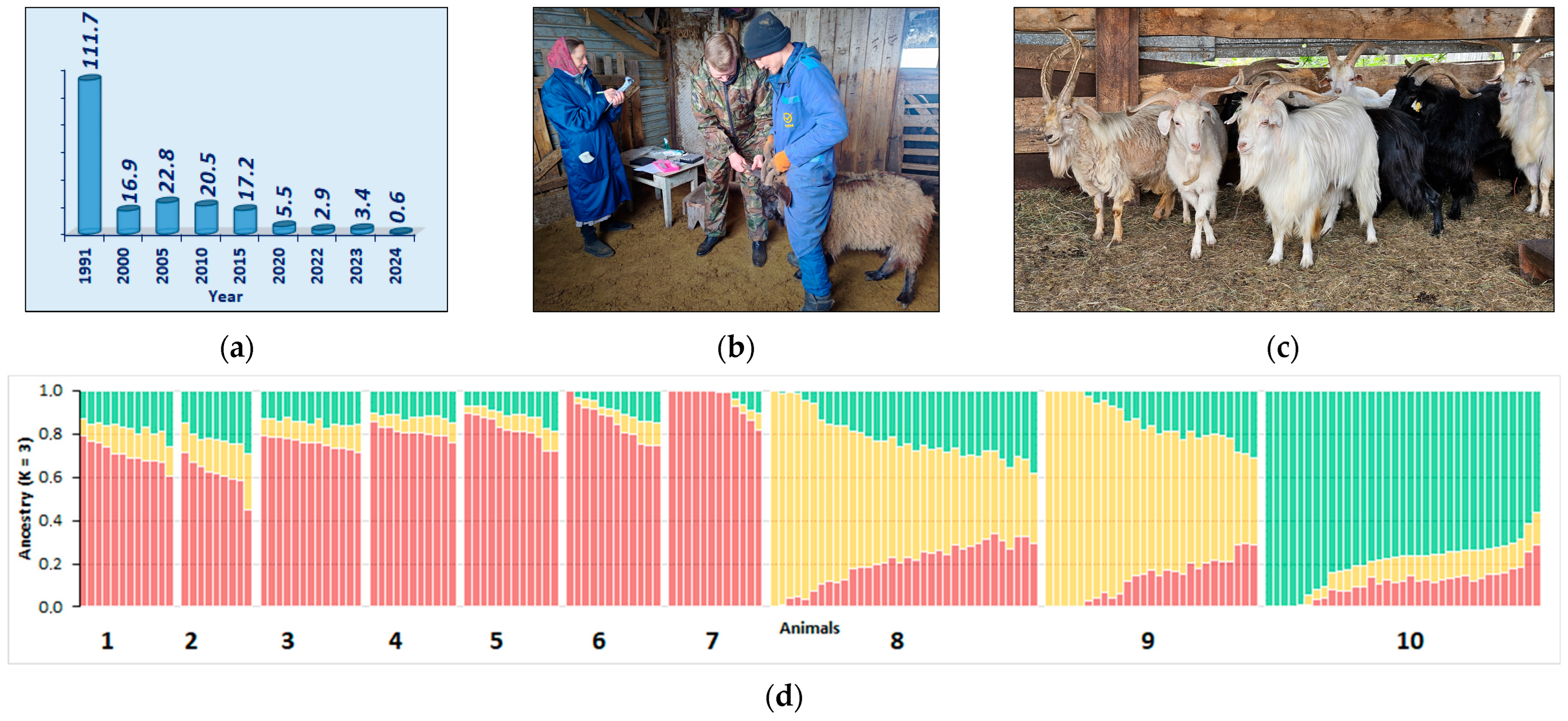 Animals 15 03103 g009 Animals 15 03103 g009