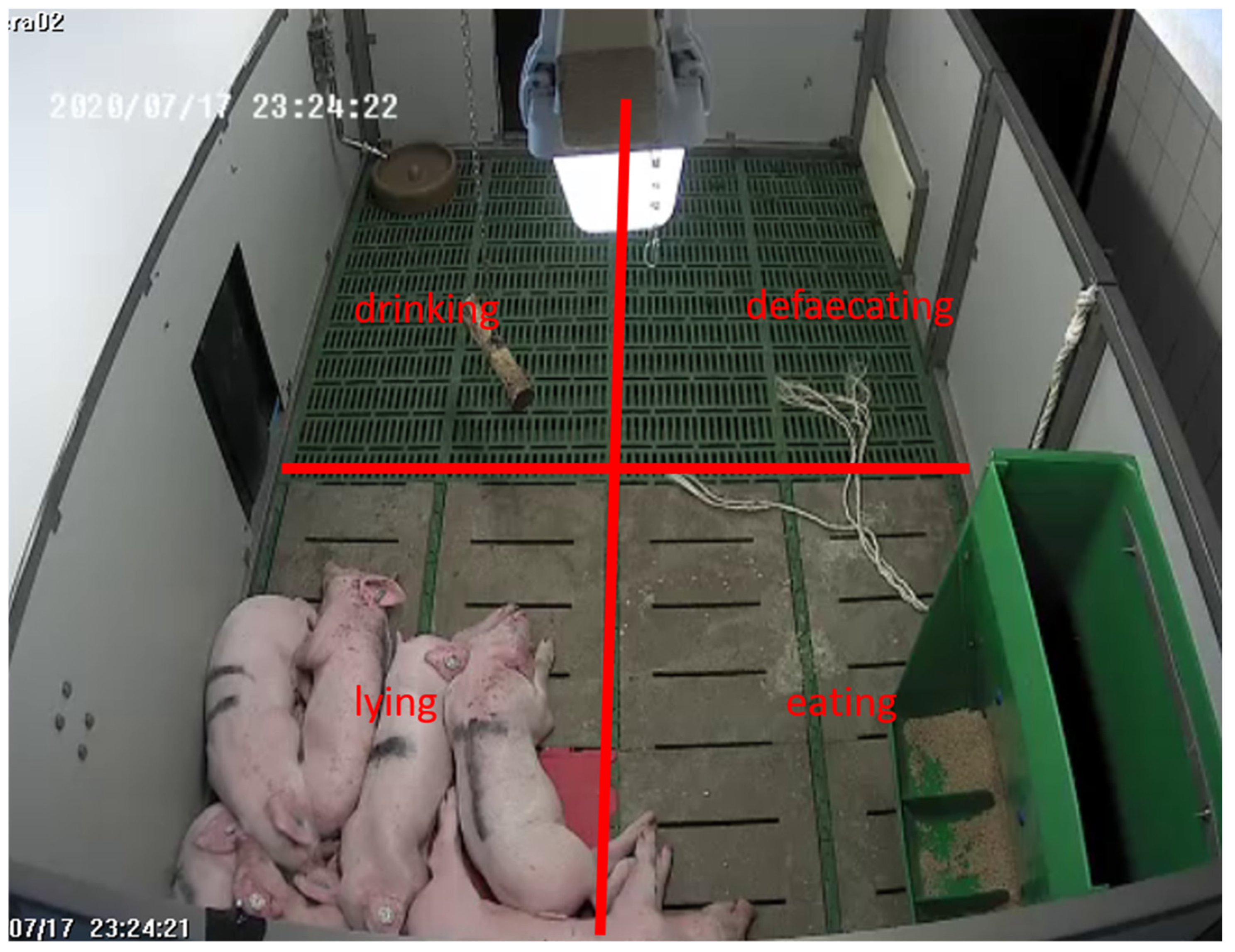 Animals 15 03116 g002