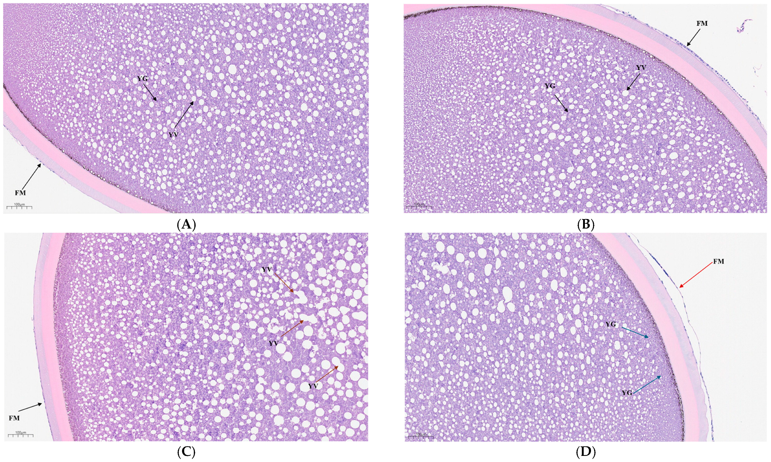 Animals 15 03122 g001