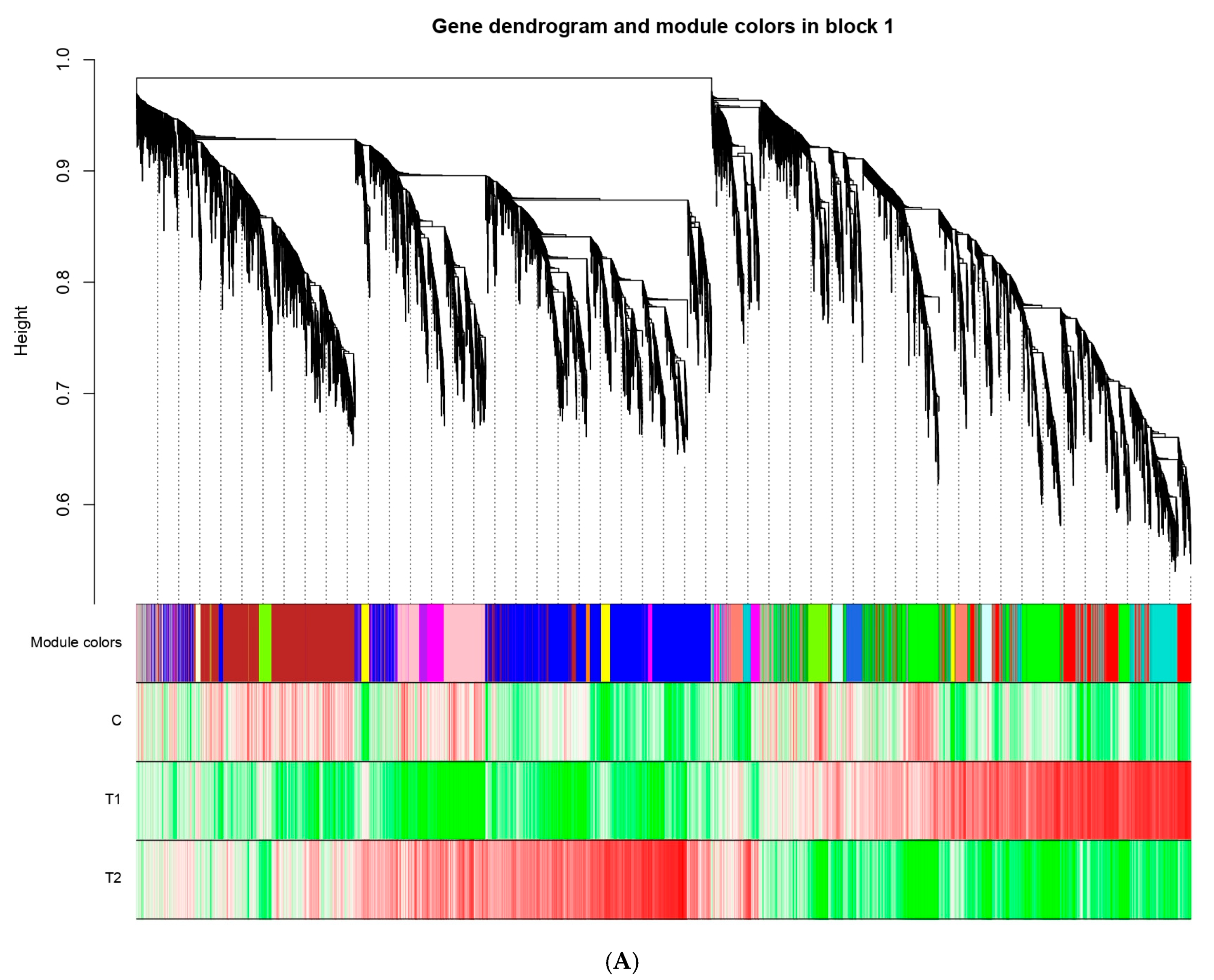 Animals 15 03122 g004a