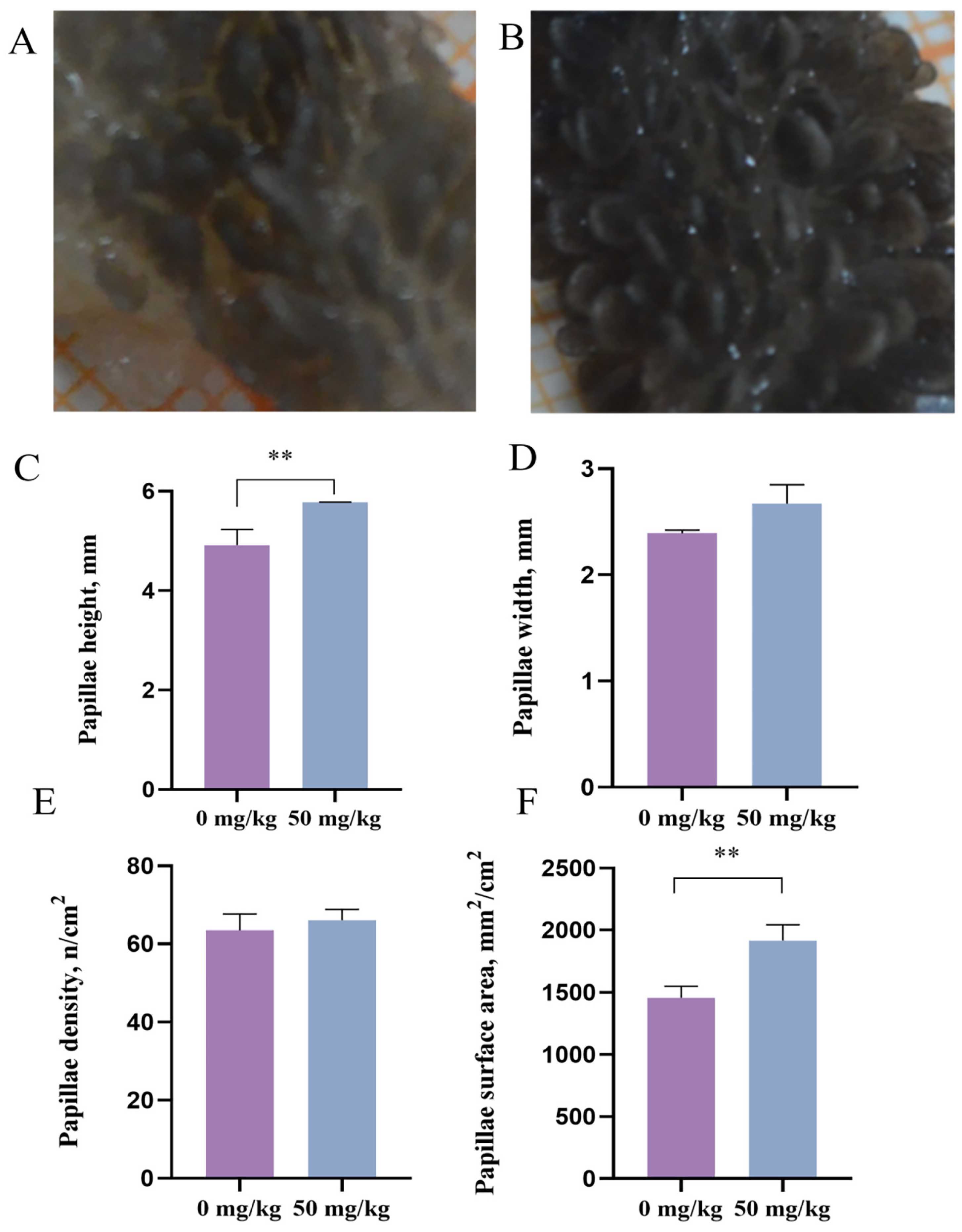 Animals 15 03123 g001